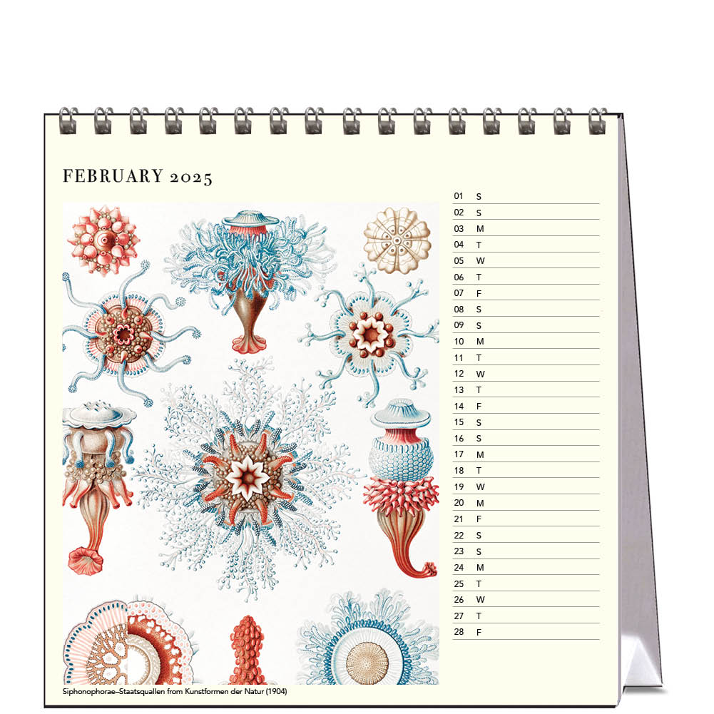 2025 Ernst Haeckel - Desk Easel Calendar