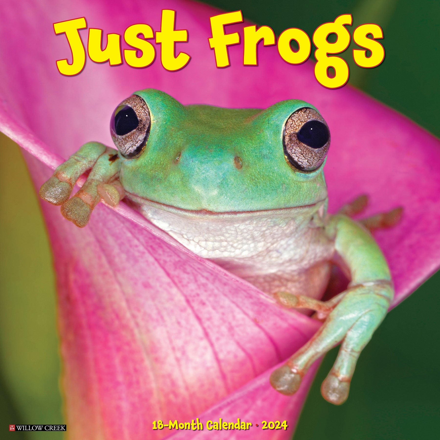 2024 Just Frogs - Square Wall Calendar