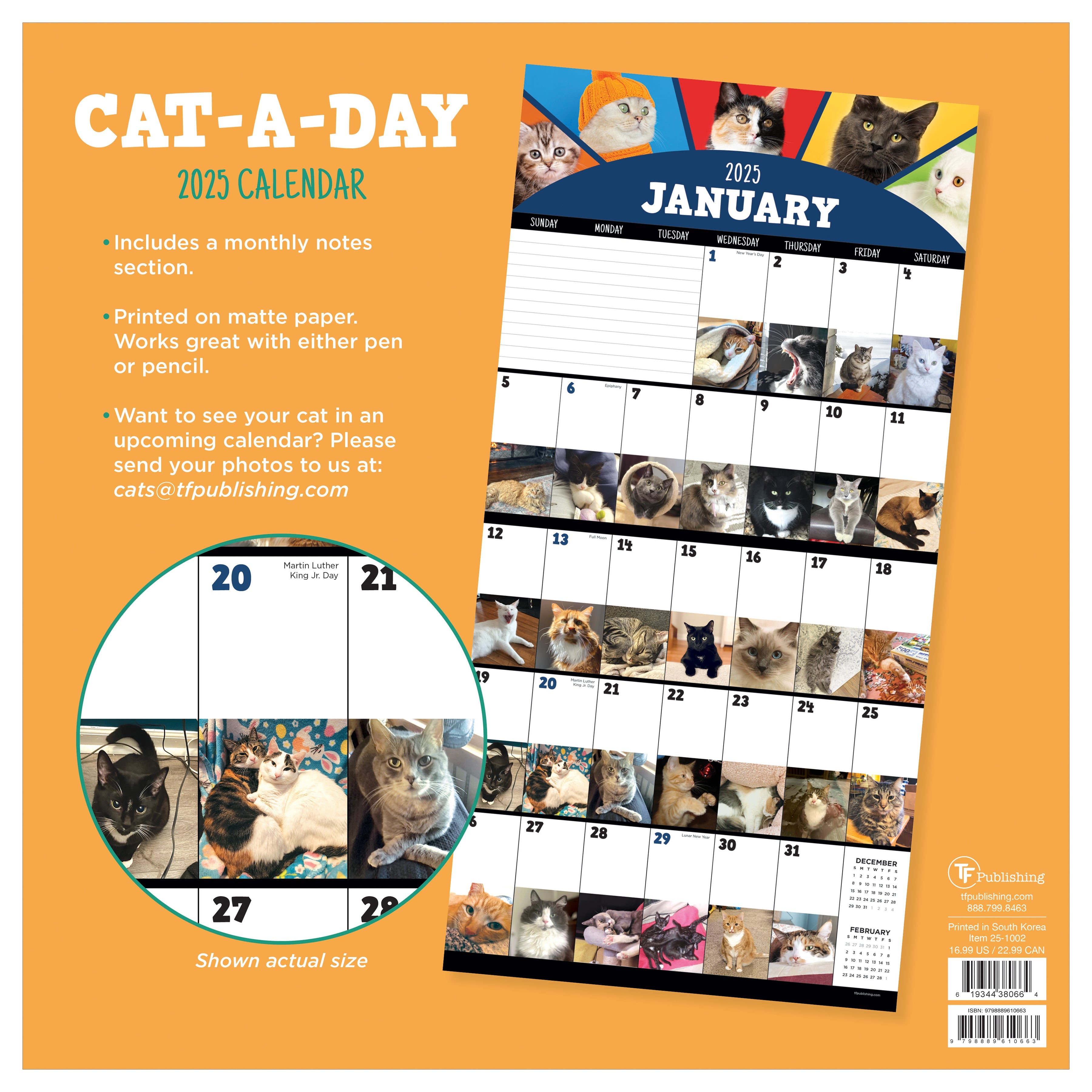 2025 Cat-A-Day - Square Wall Calendar