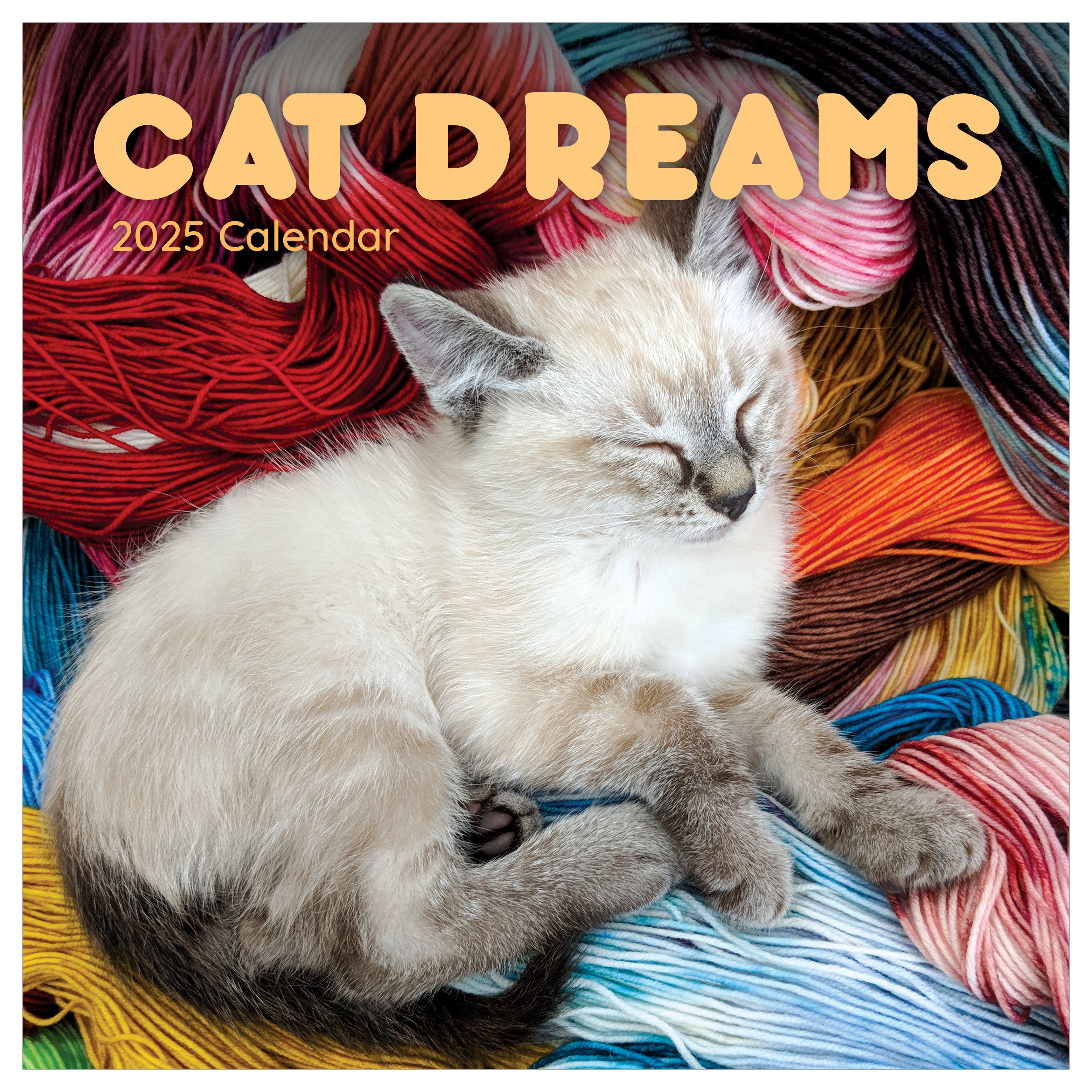 2025 Cat Dreams - Square Wall Calendar