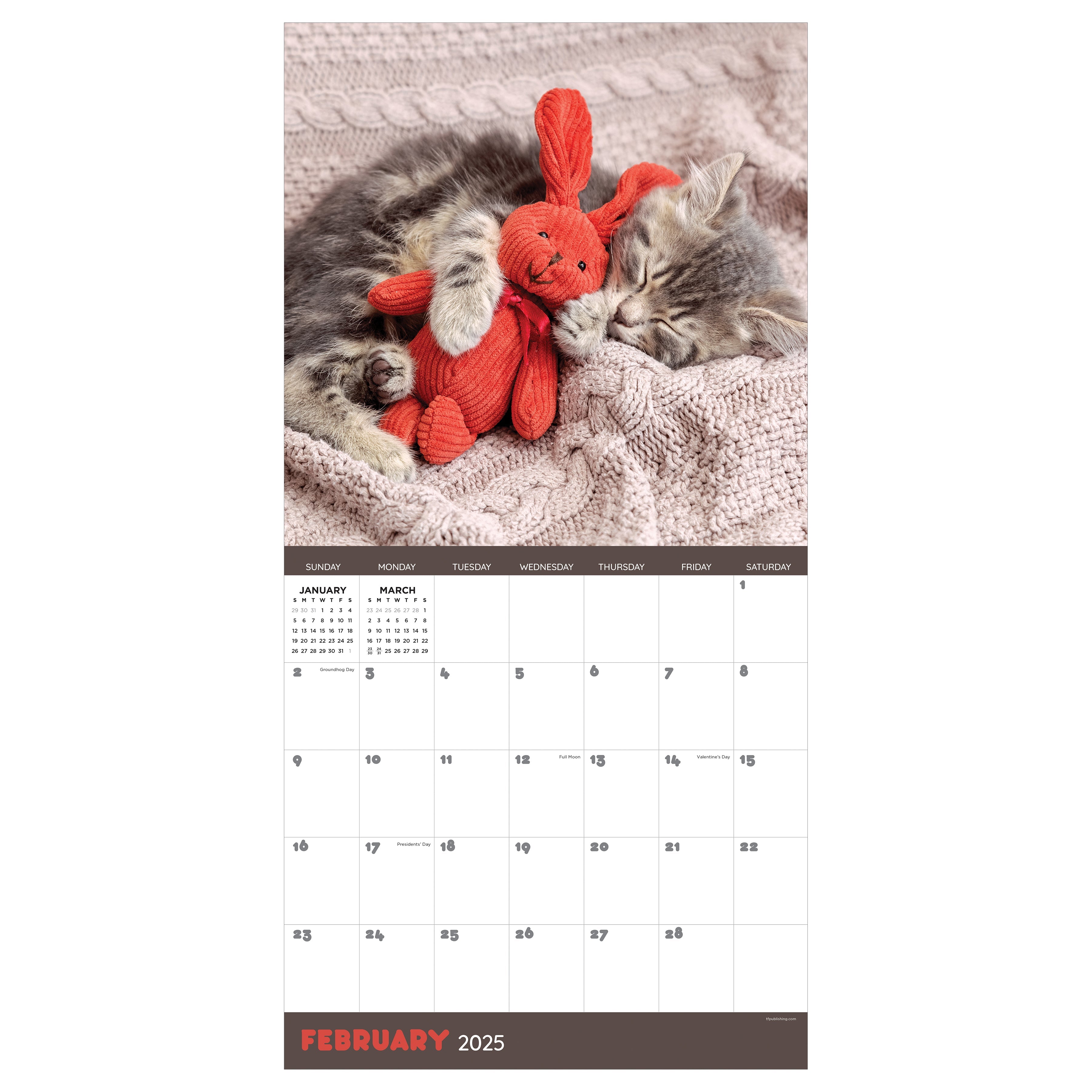 2025 Cat Dreams - Square Wall Calendar