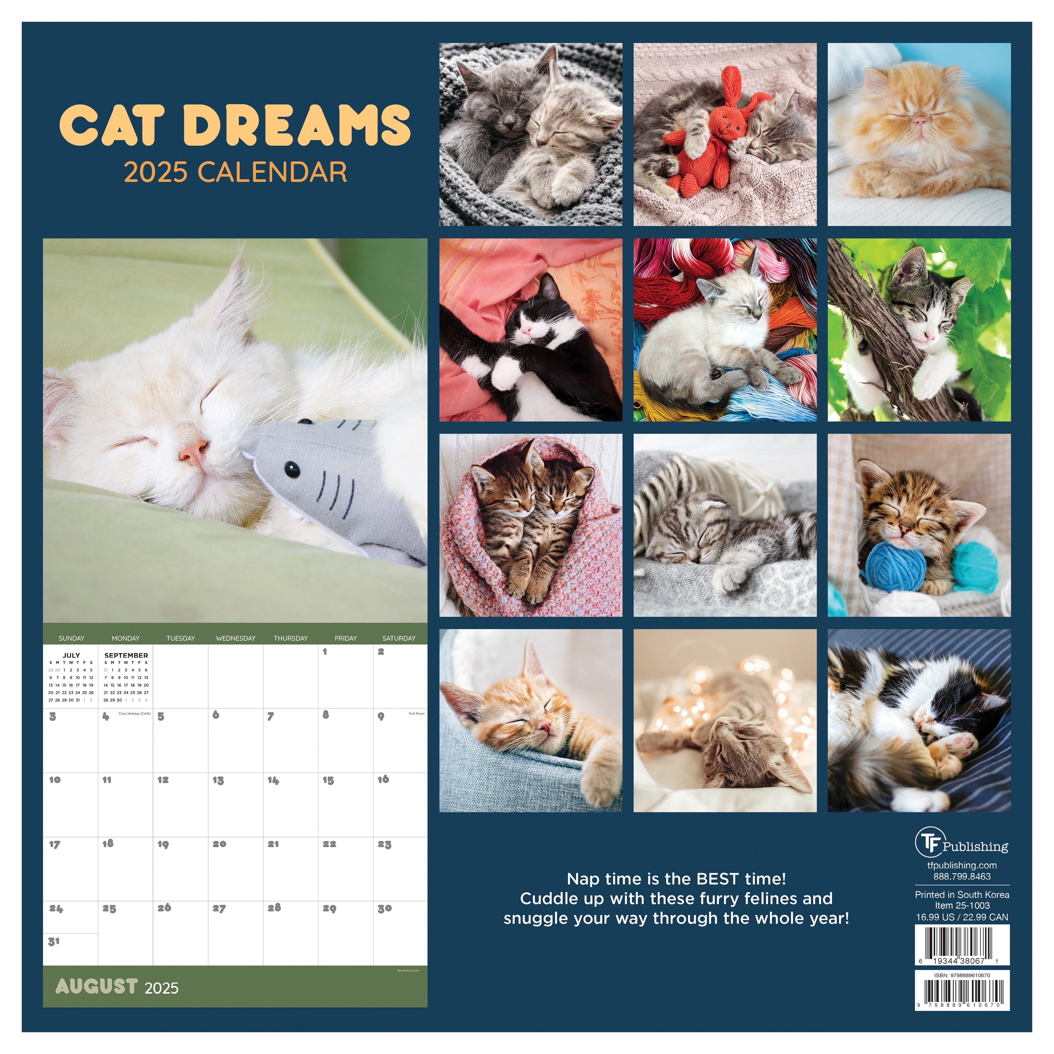 2025 Cat Dreams - Square Wall Calendar