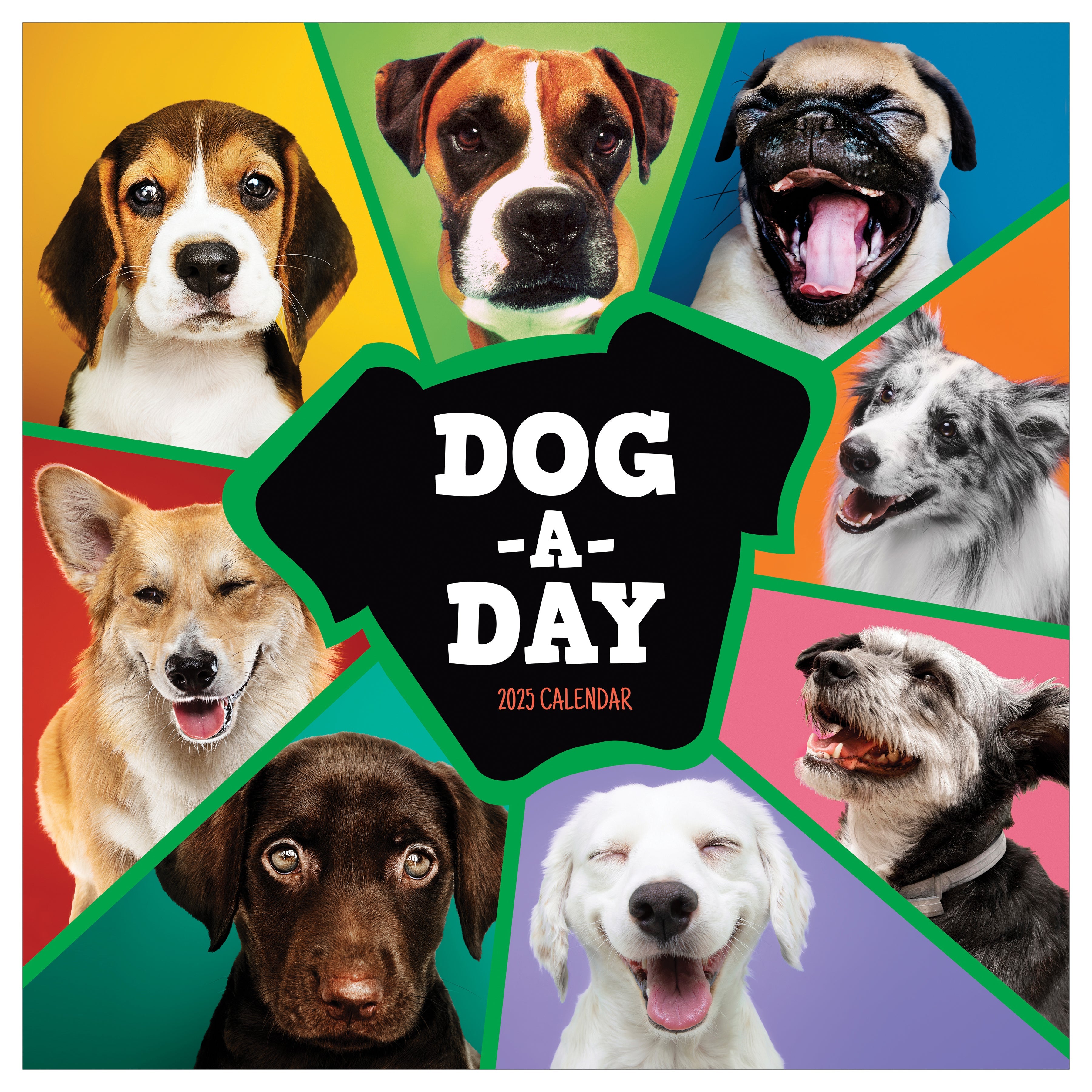 2025 Dog-A-Day - Square Wall Calendar