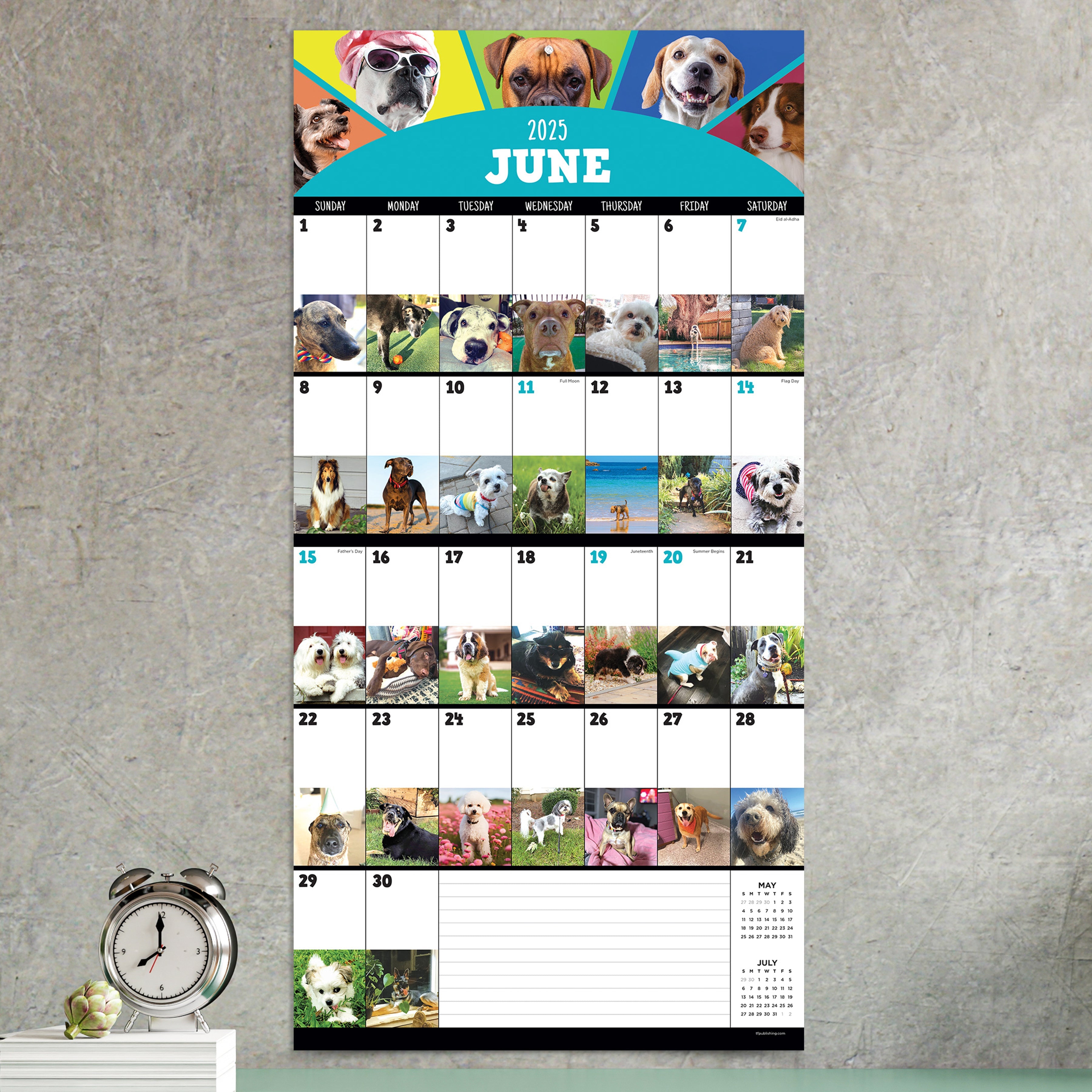 2025 Dog-A-Day - Square Wall Calendar