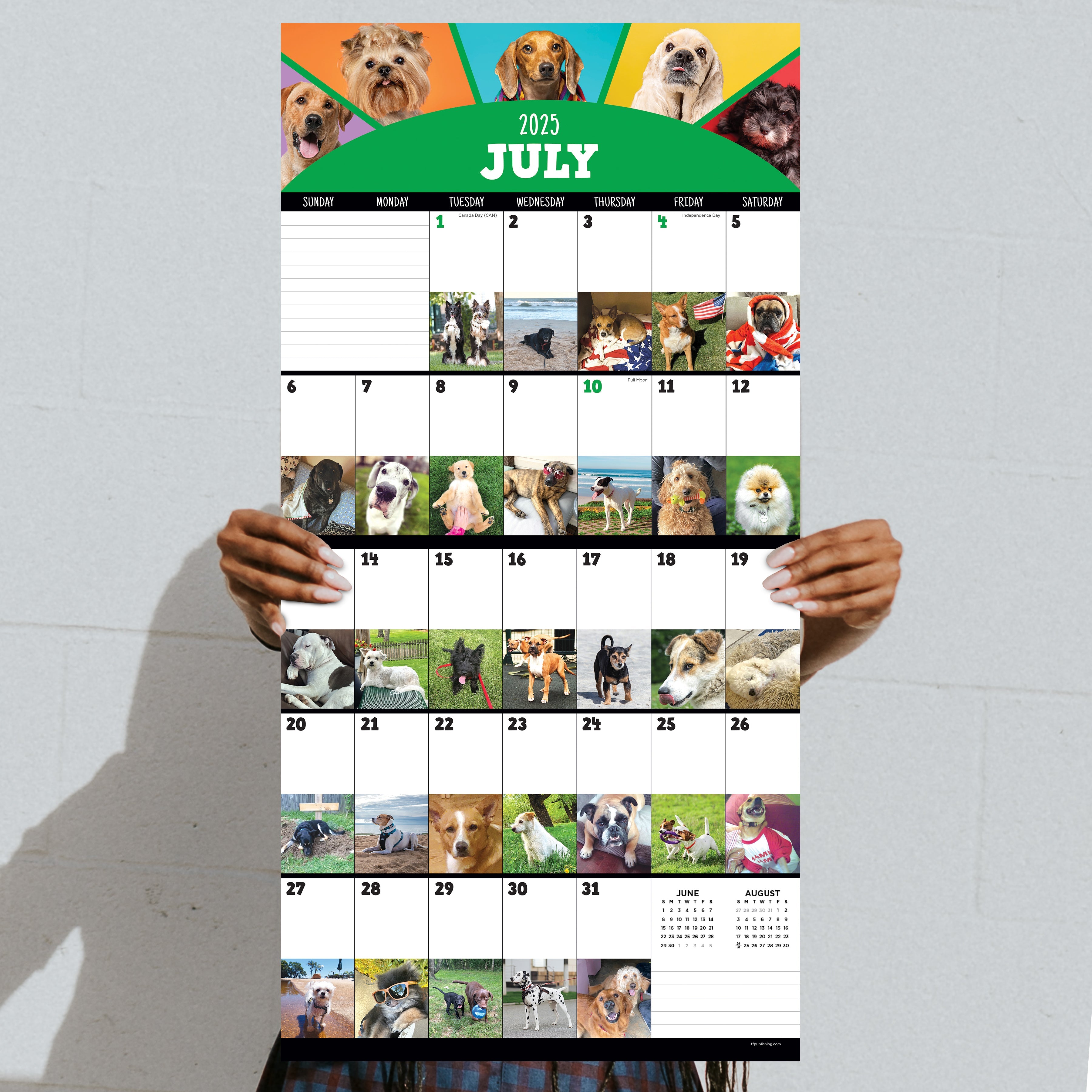 2025 Dog-A-Day - Square Wall Calendar