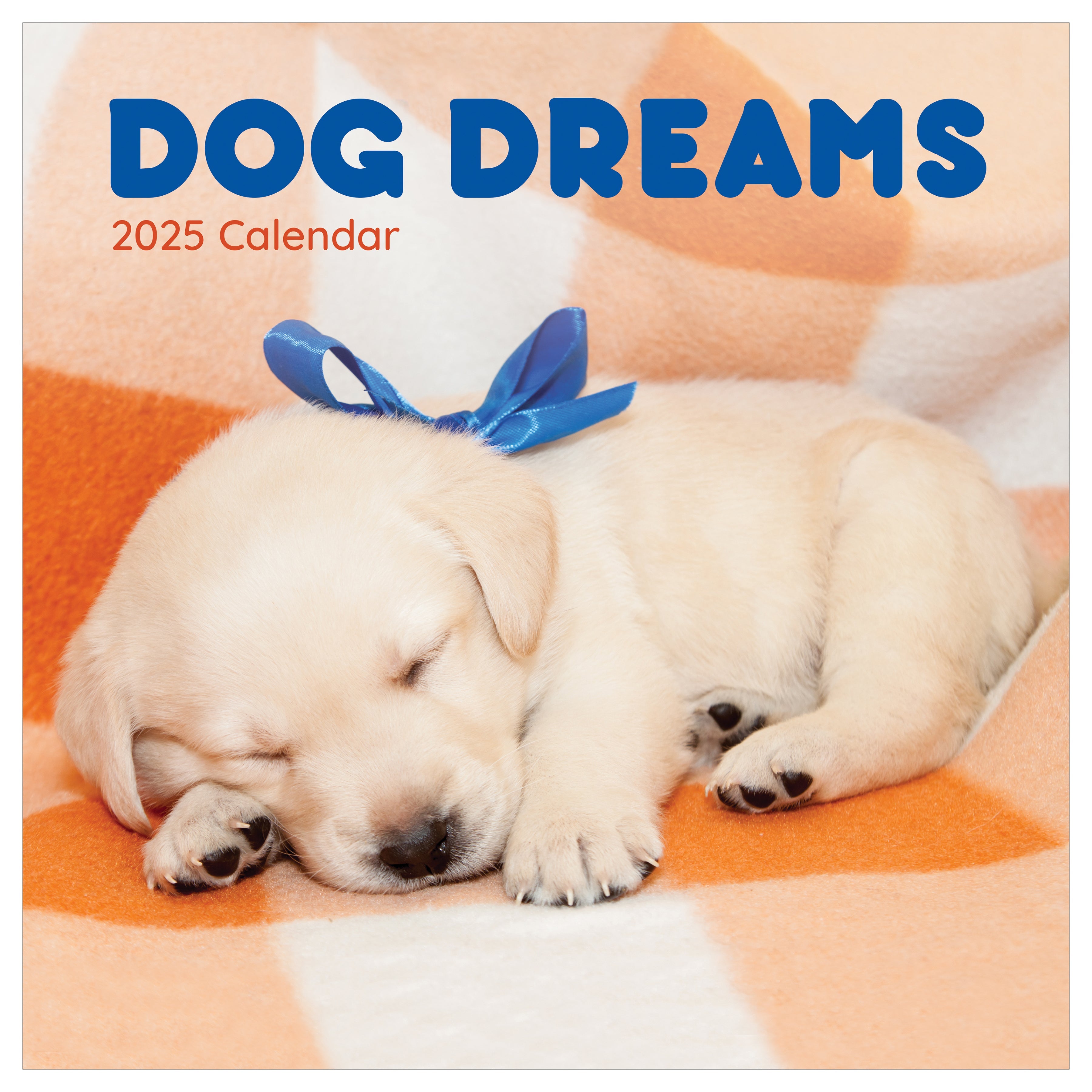 2025 Dog Dreams - Square Wall Calendar