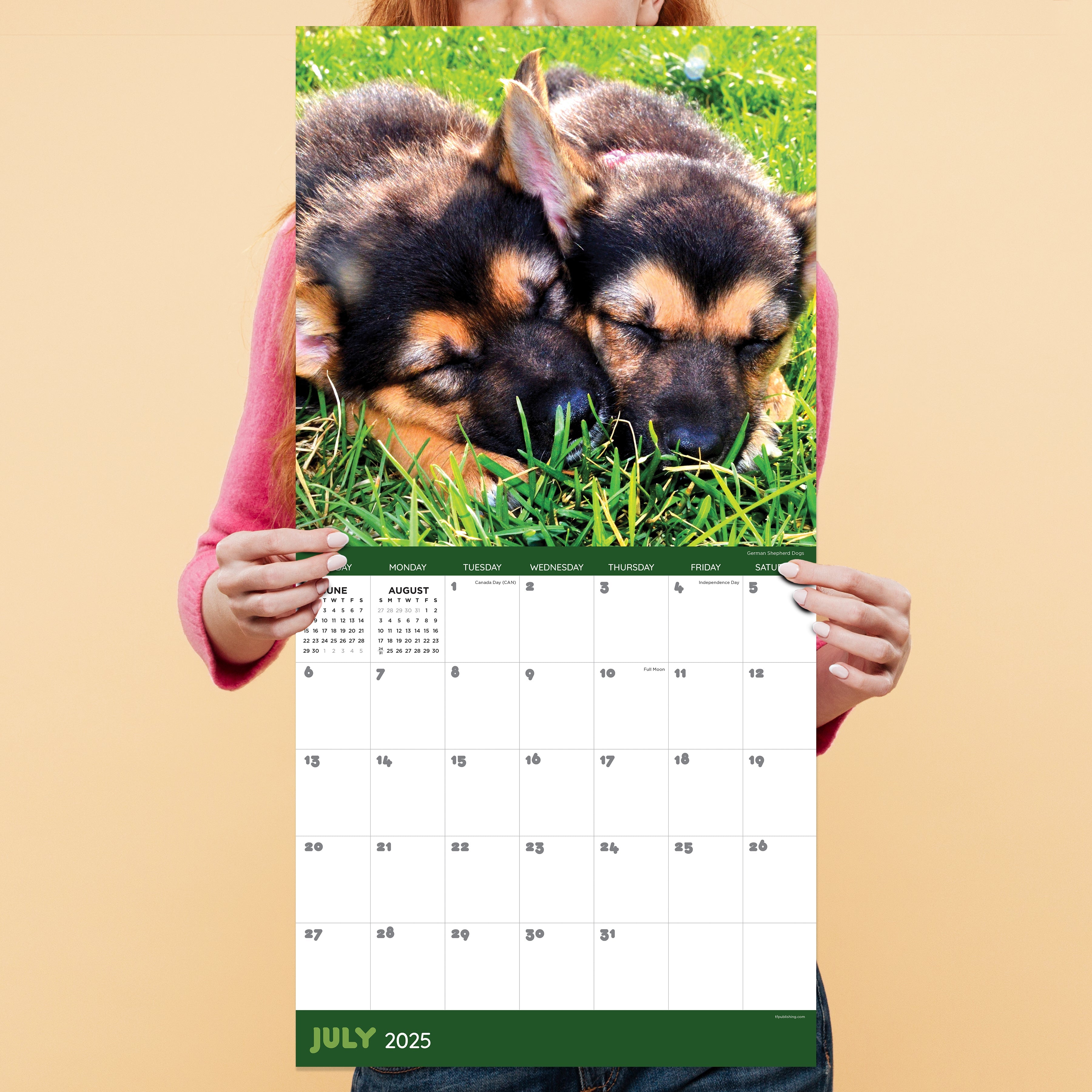 2025 Dog Dreams - Square Wall Calendar