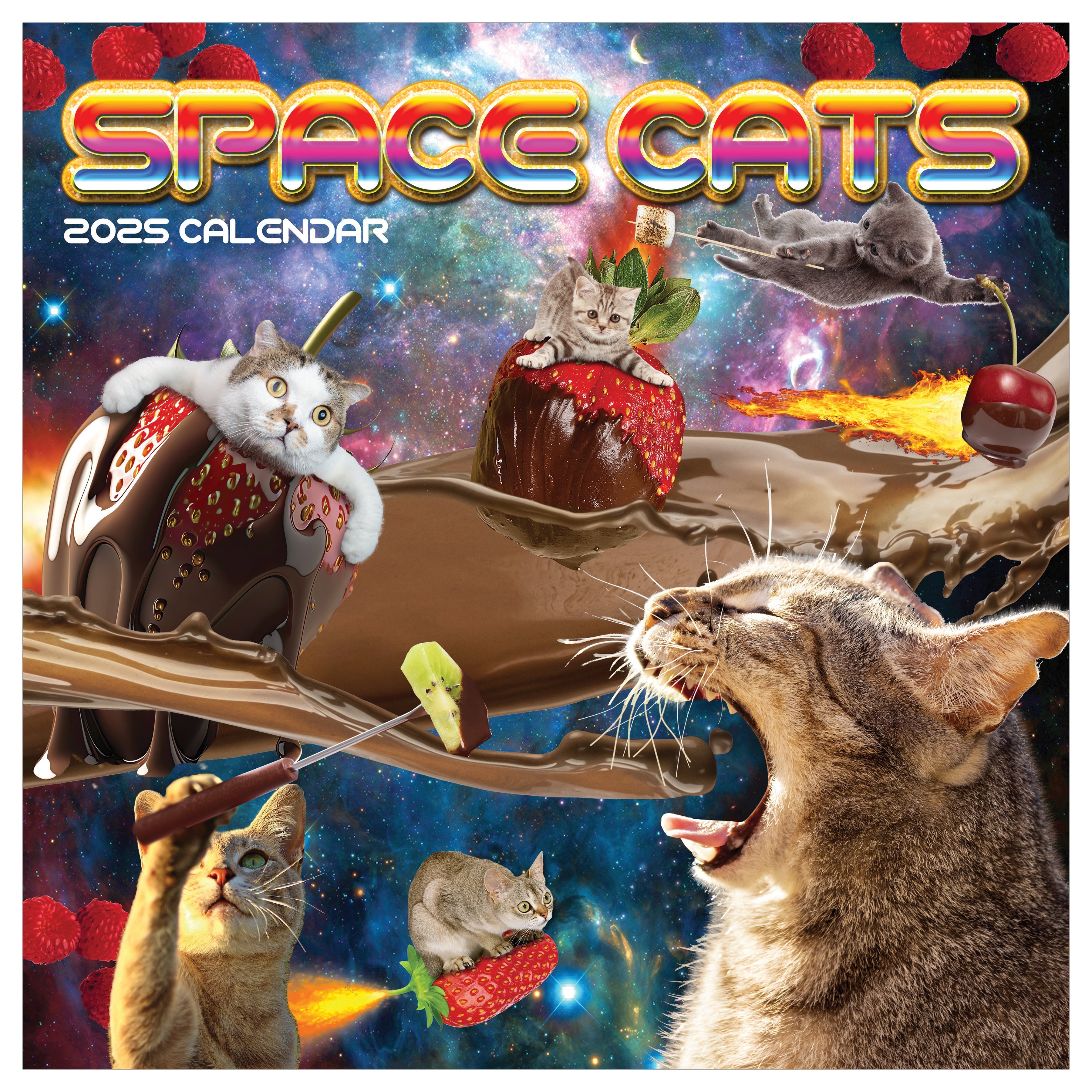 2025 Space Cats - Square Wall Calendar