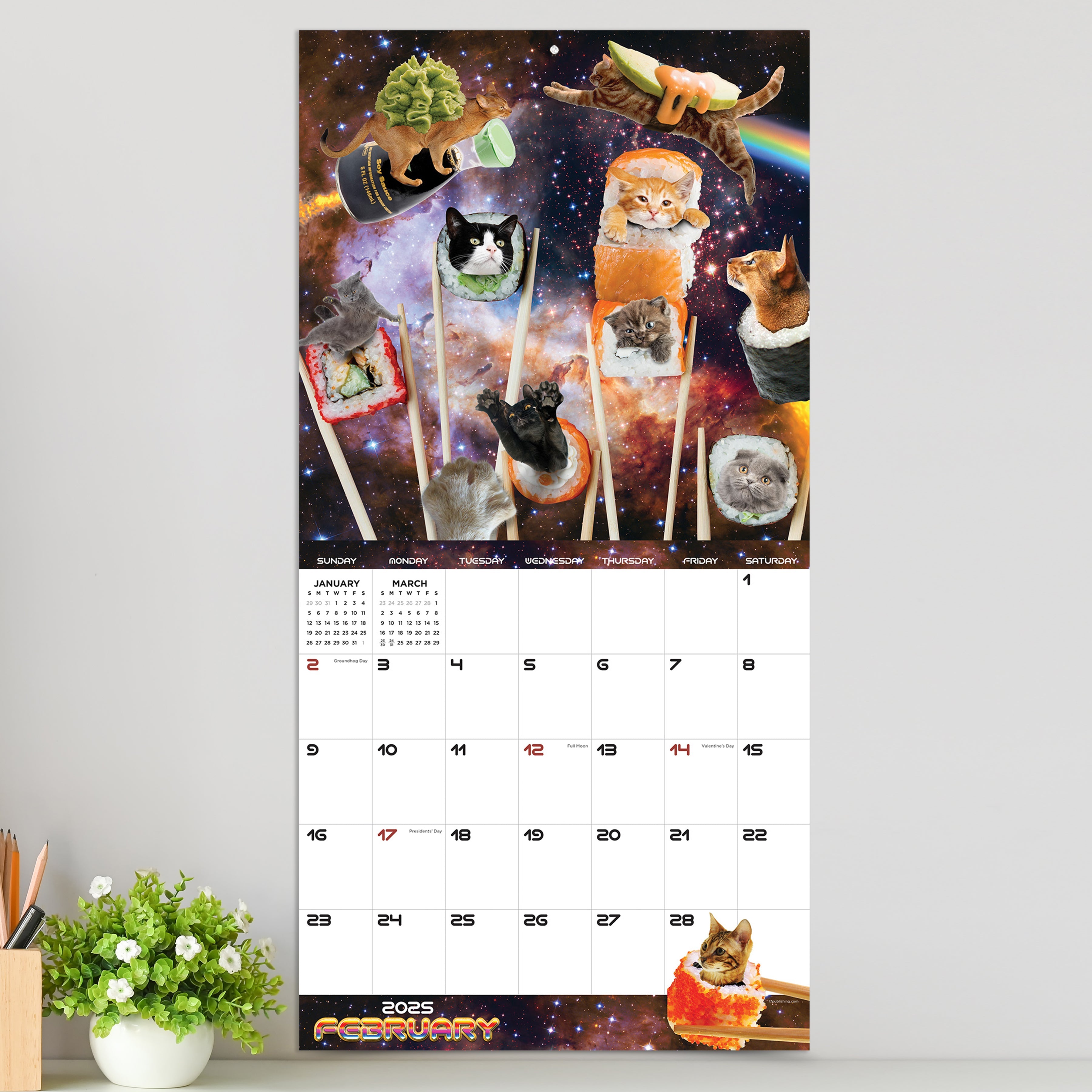 2025 Space Cats - Square Wall Calendar