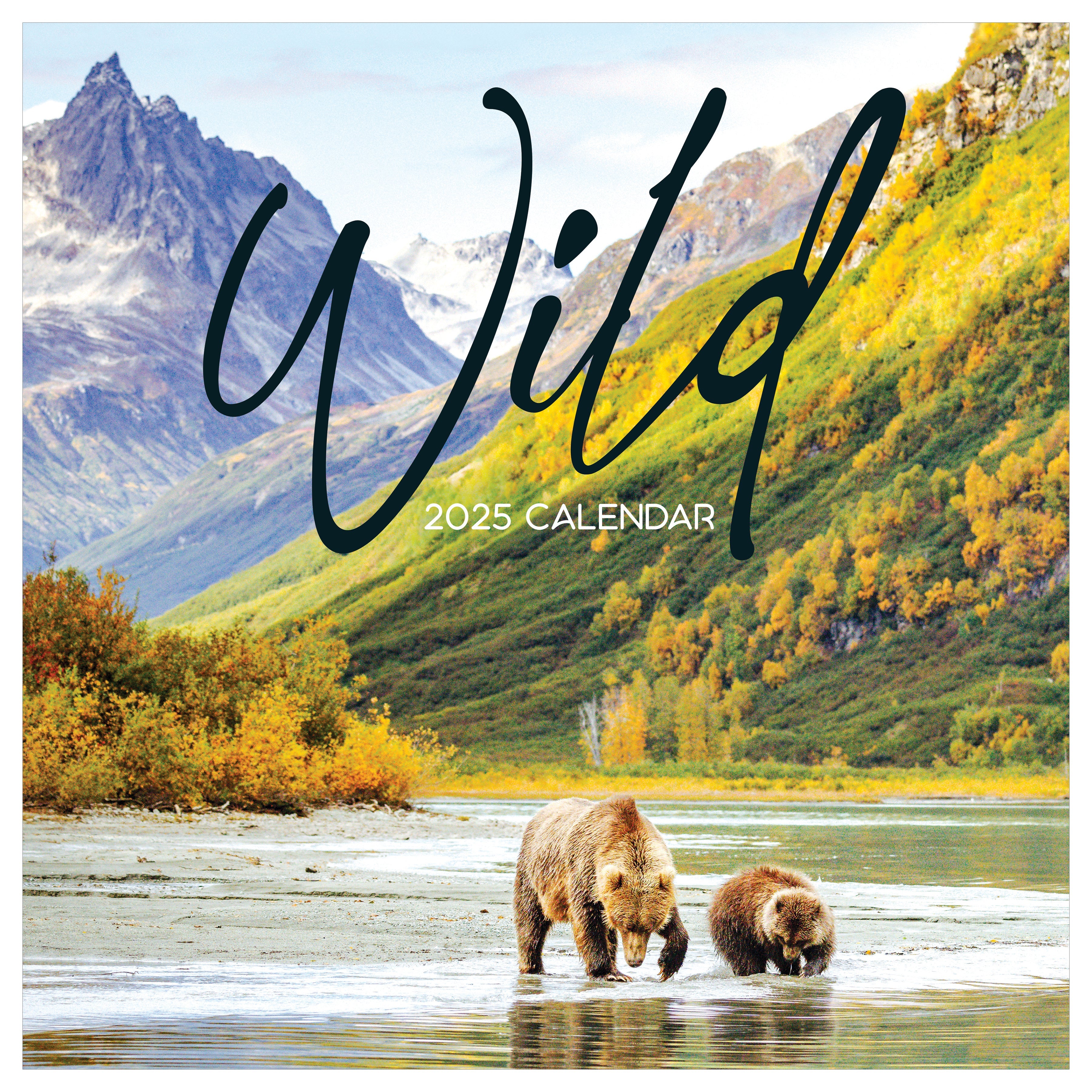 2025 Wild - Square Wall Calendar