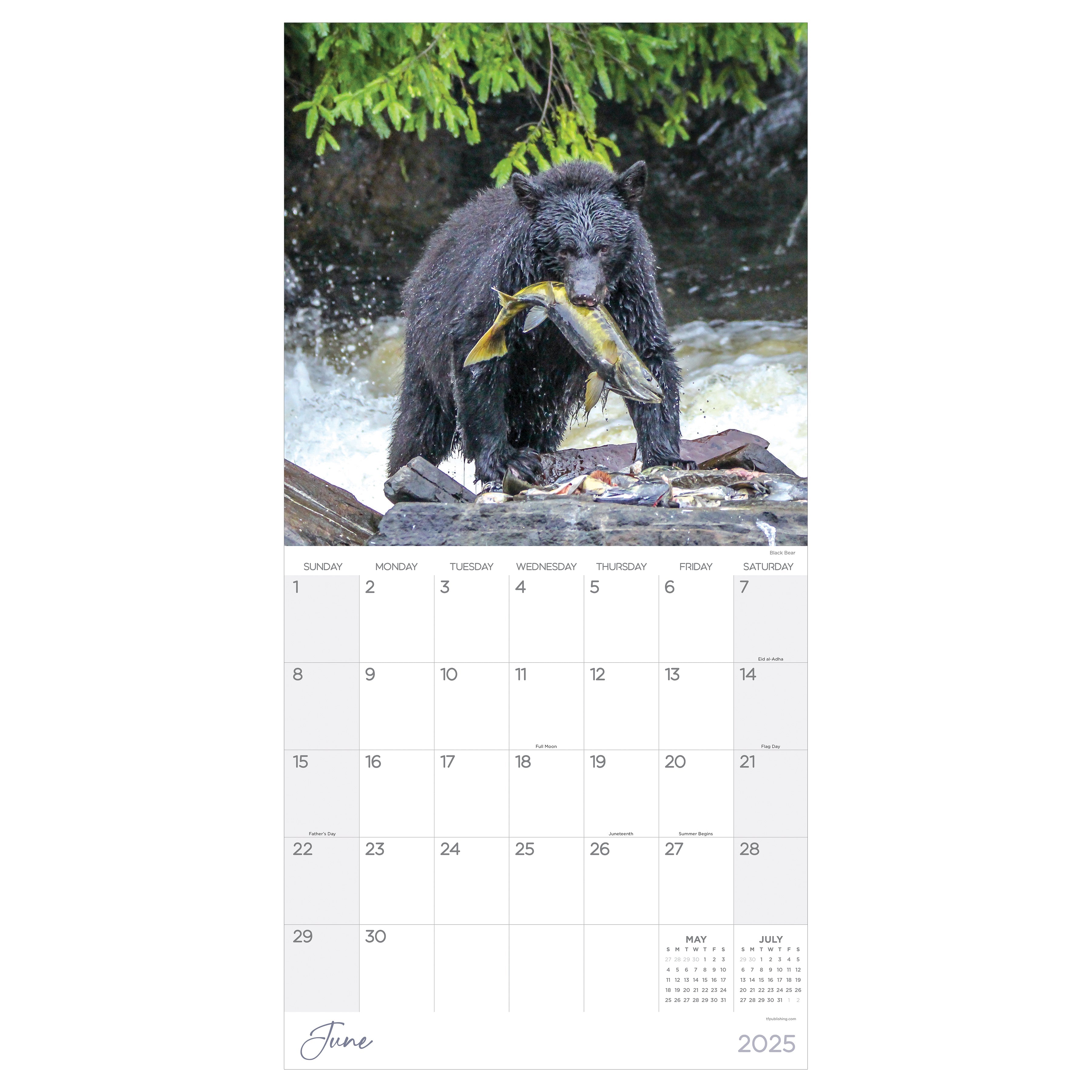 2025 Wild - Square Wall Calendar