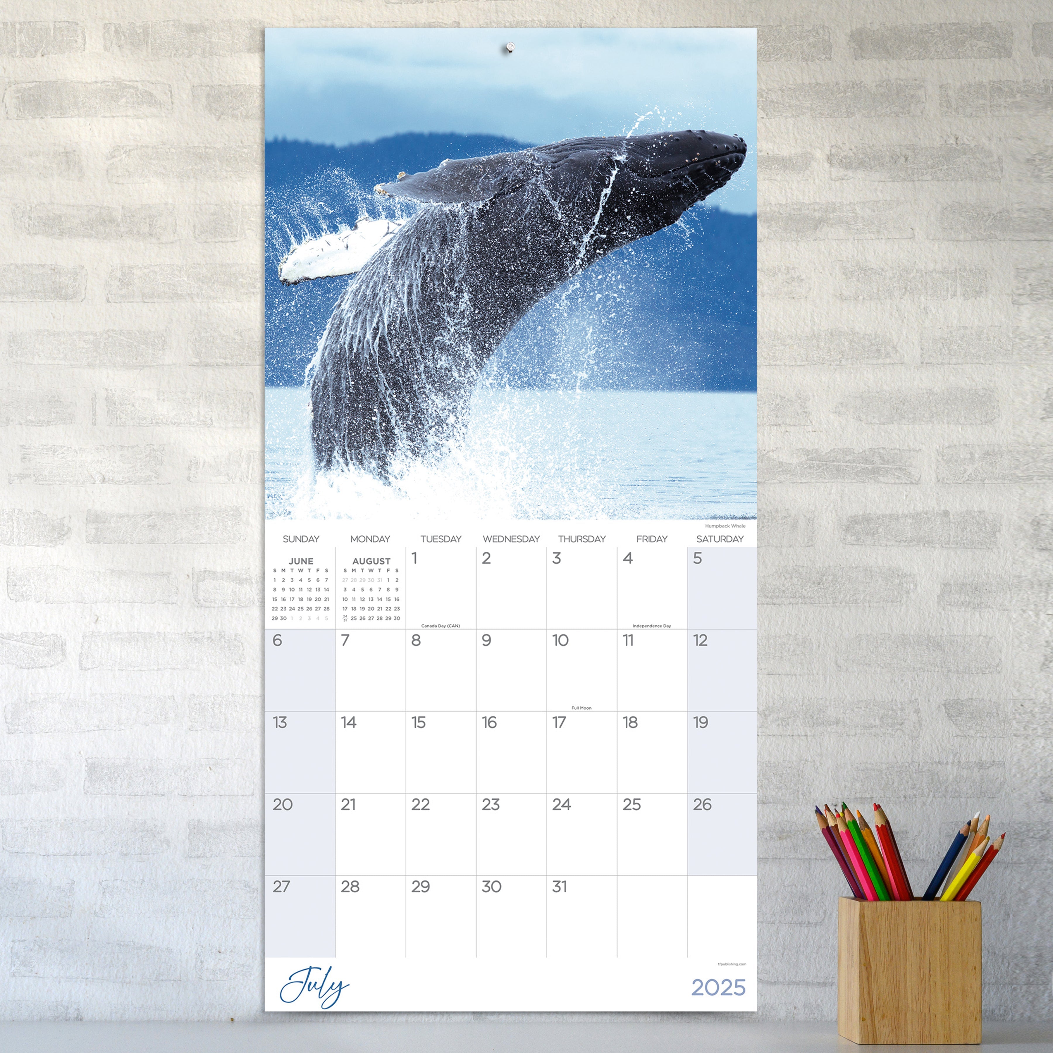 2025 Wild - Square Wall Calendar