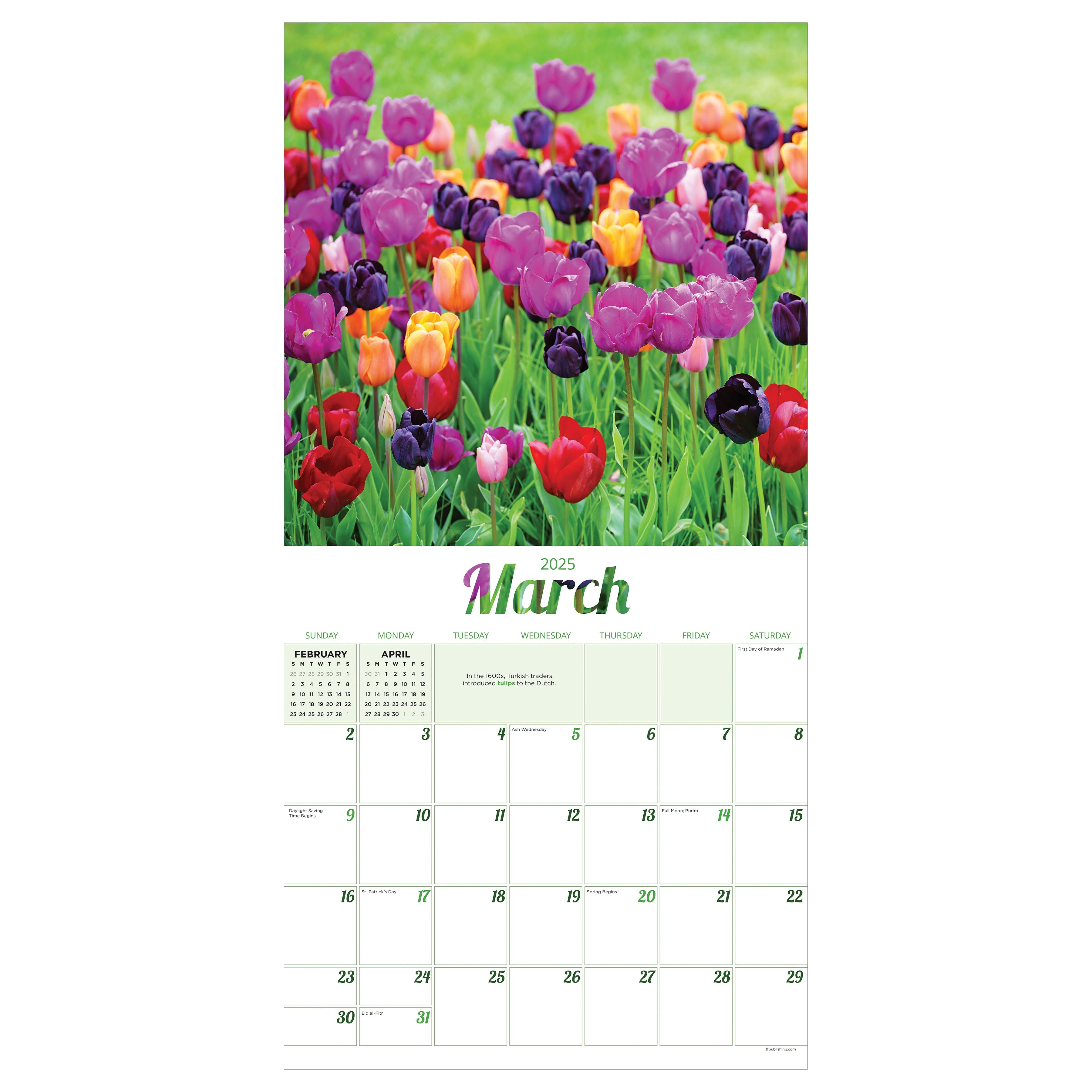 2025 Flowers by TF - Square Wall Calendar