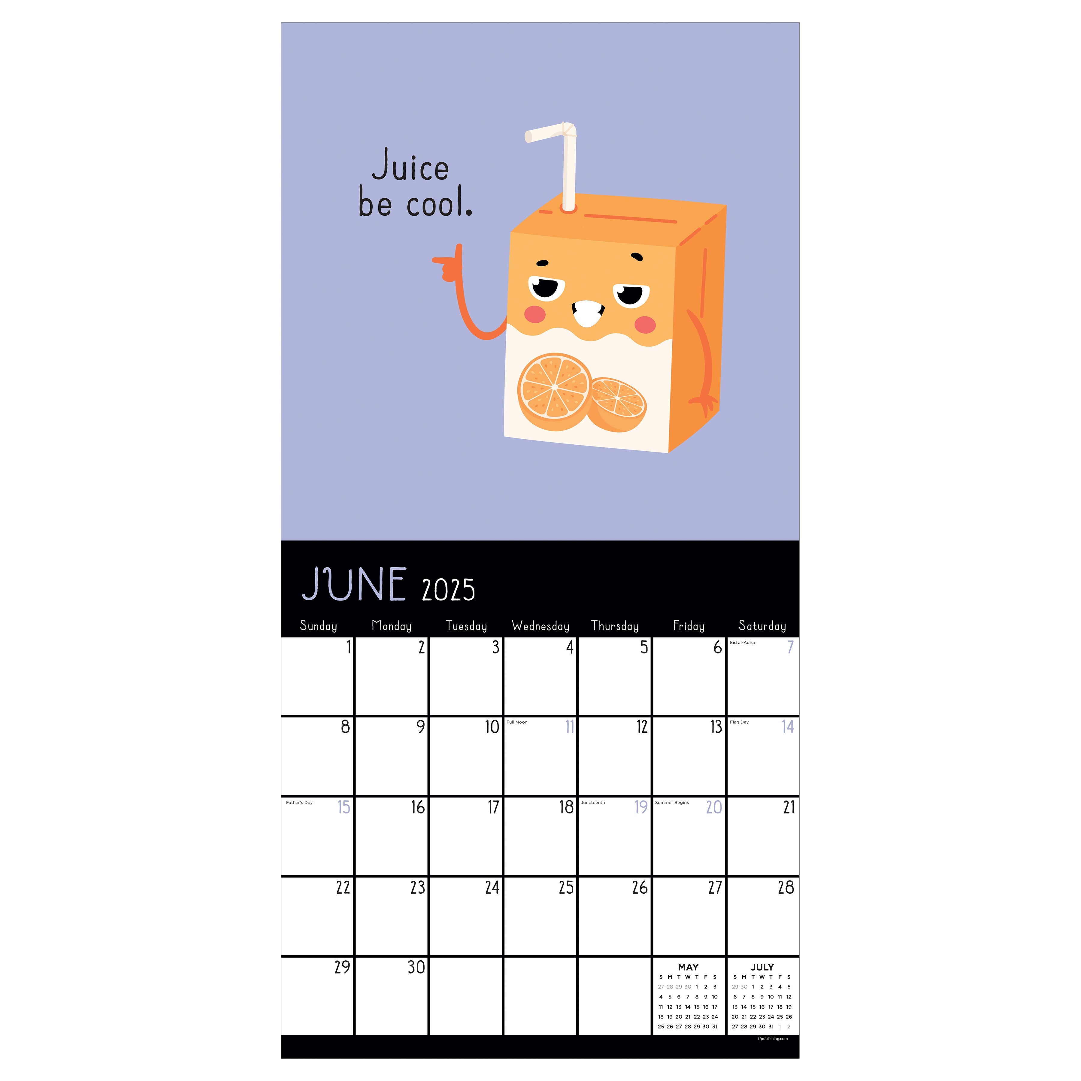 2025 Puns of Fun - Square Wall Calendar