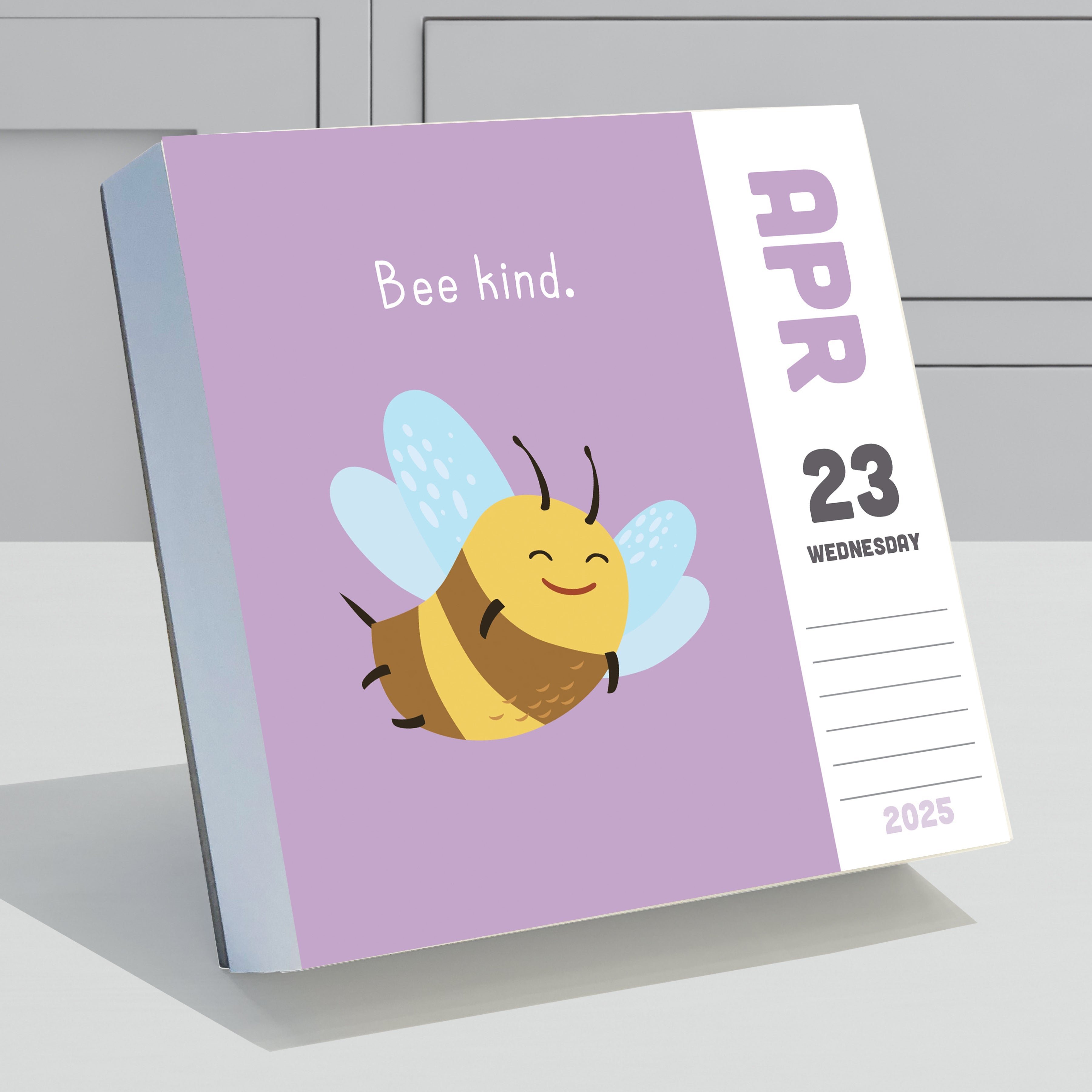 2025 Puns of Fun - Daily Boxed Page-A-Day Calendar