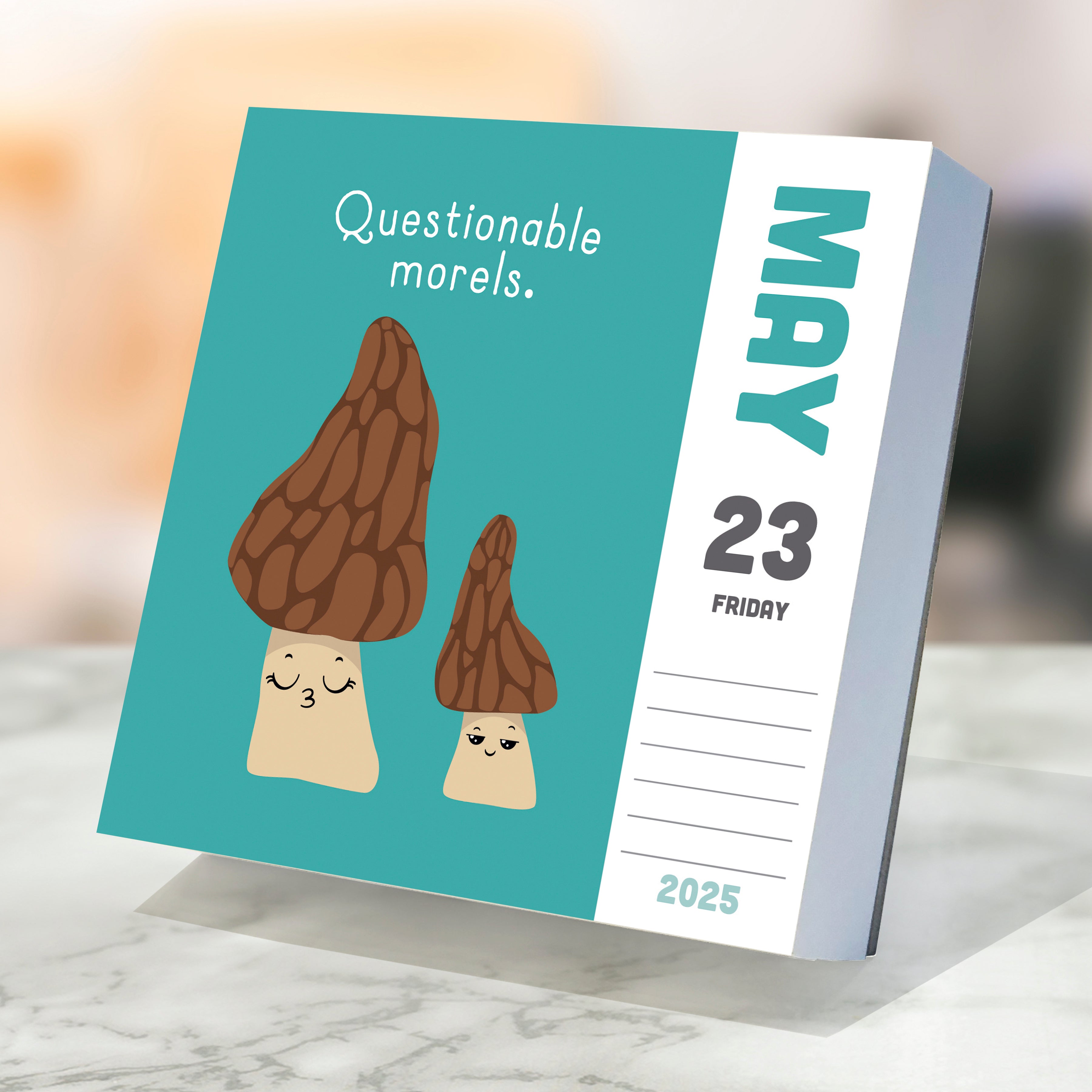 2025 Puns of Fun - Daily Boxed Page-A-Day Calendar