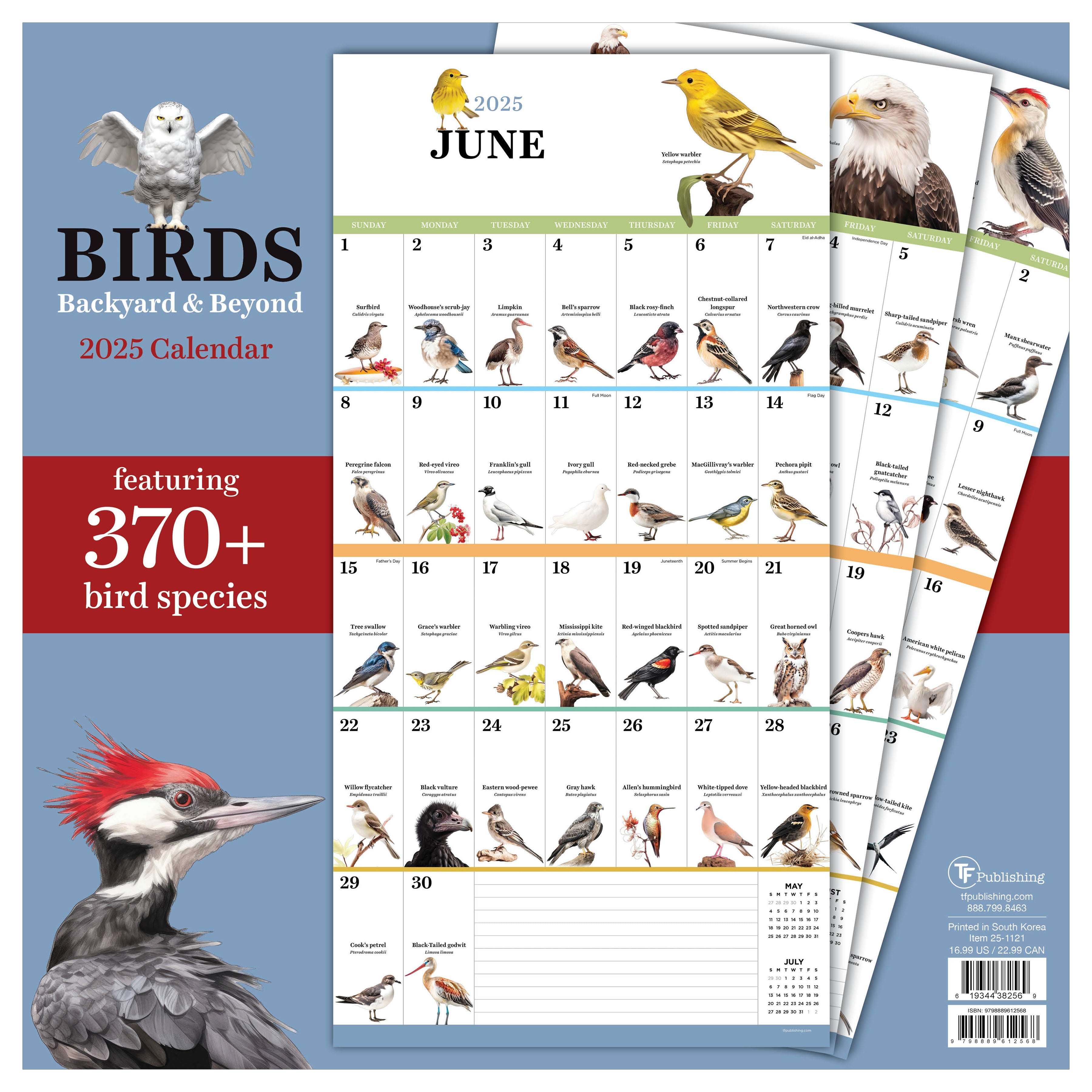 2025 Birds: Backyard and Beyond - Square Wall Calendar