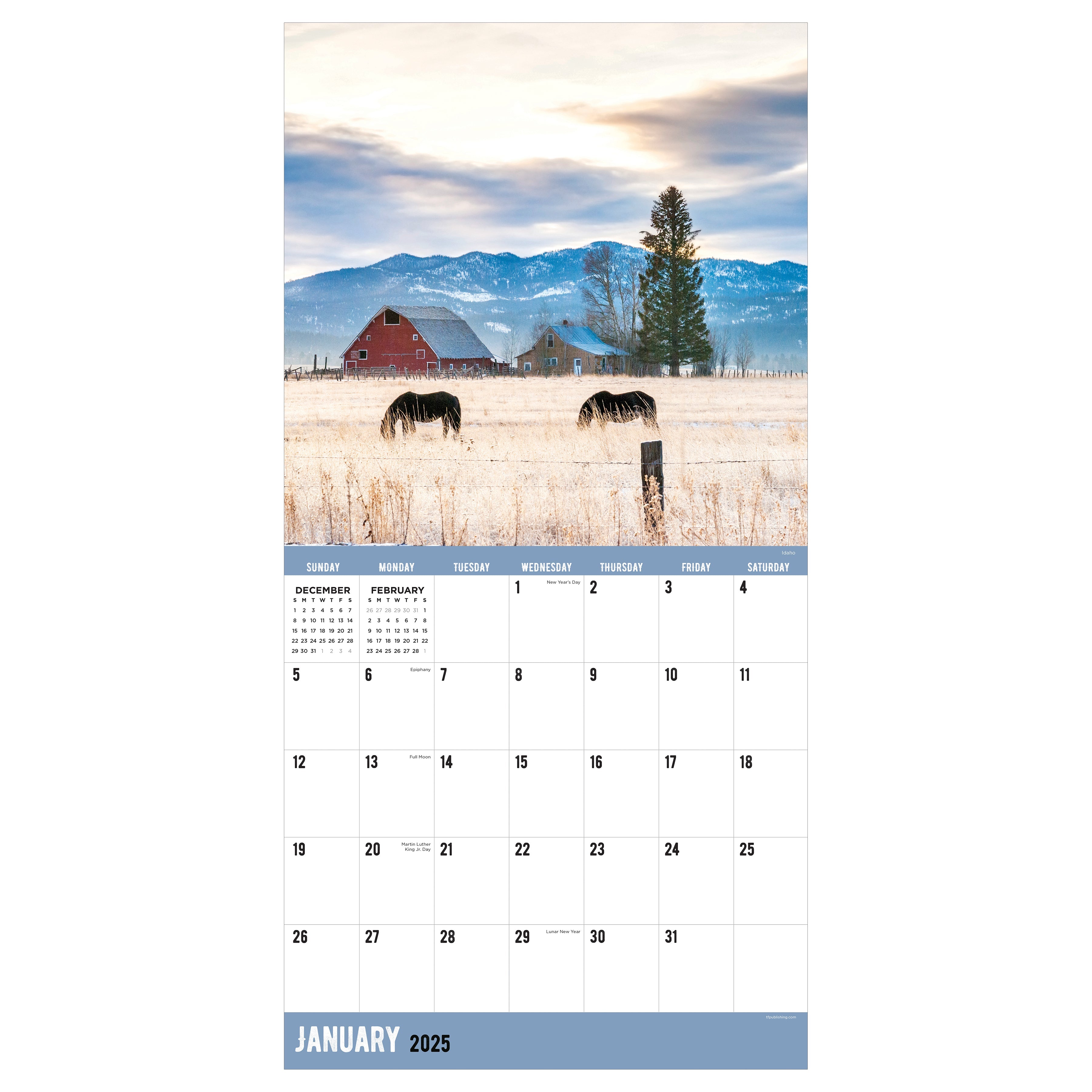 2025 Ranch Life - Square Wall Calendar