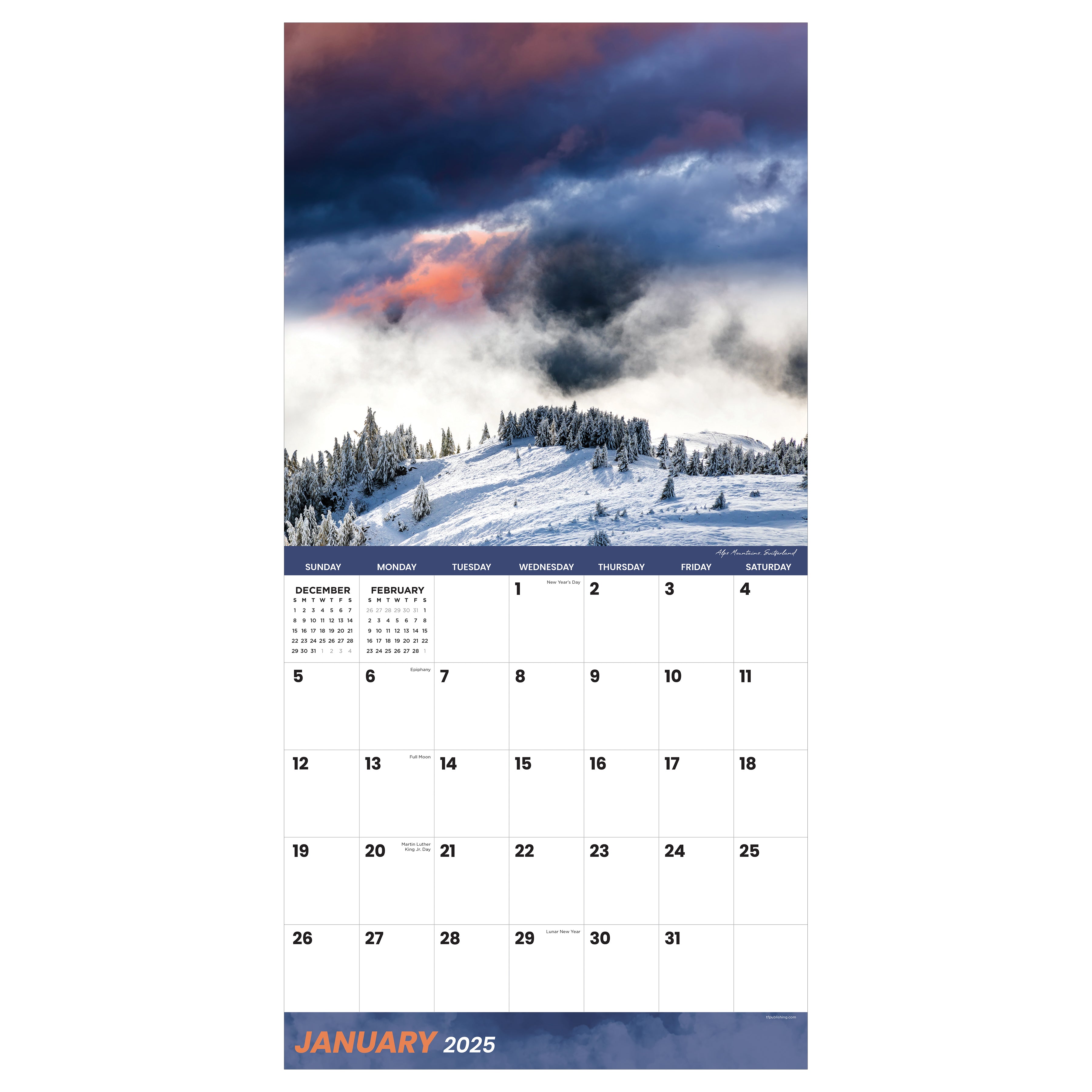 2025 Wild Weather - Square Wall Calendar