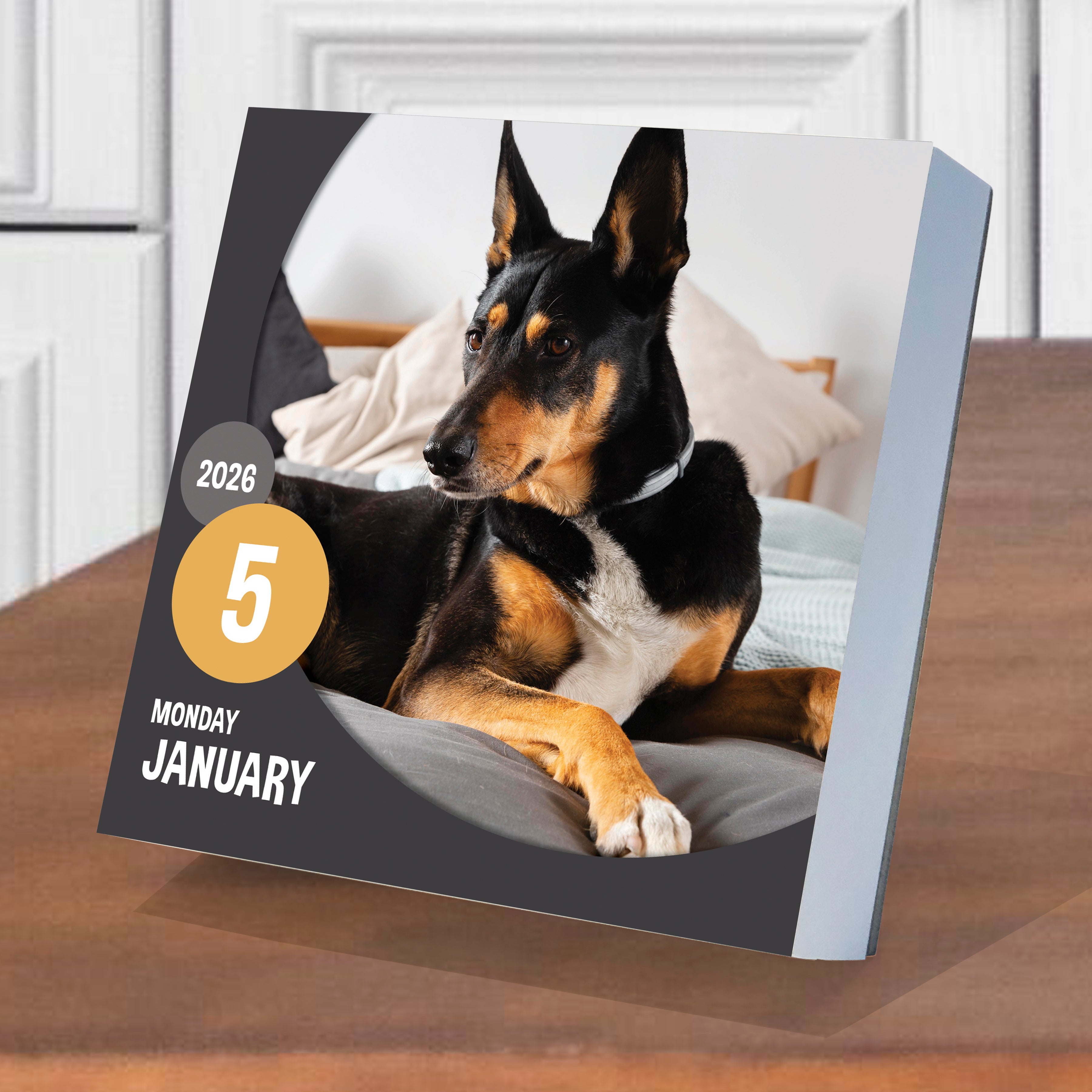 2026 Dog A Day - Daily Boxed Page-A-Day Calendar