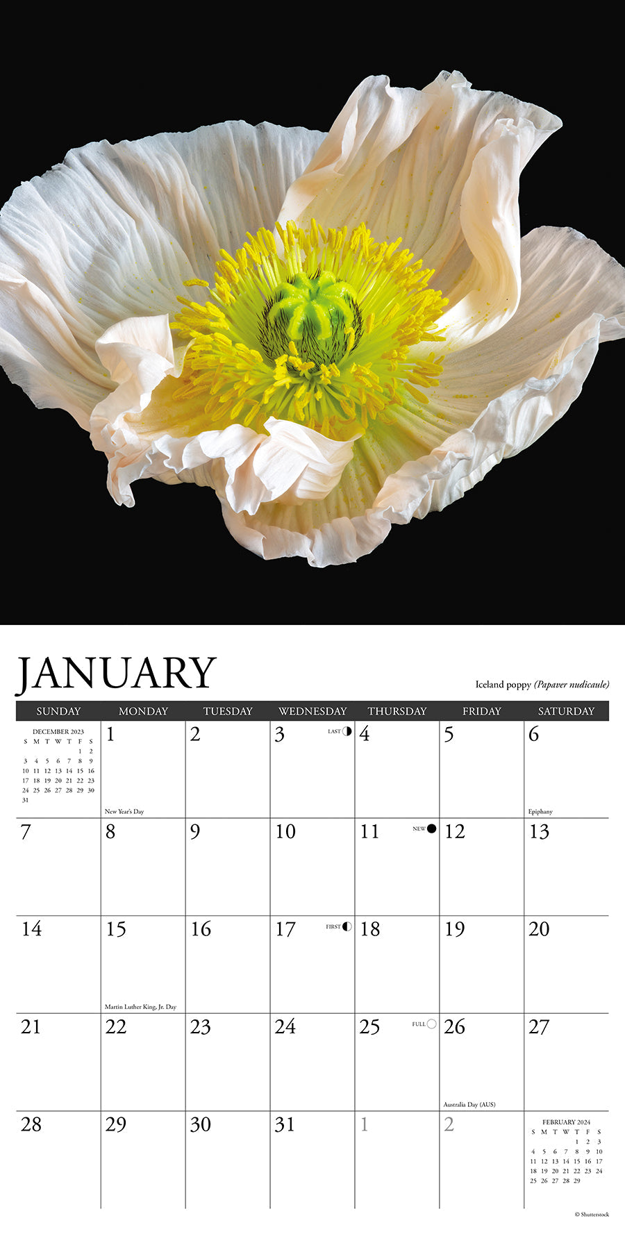 2024 Flowers (by Willow Creek) Square Wall Calendar Sceneries