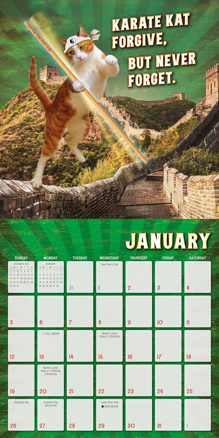 2025 The Karate Kat - Square Wall Calendar