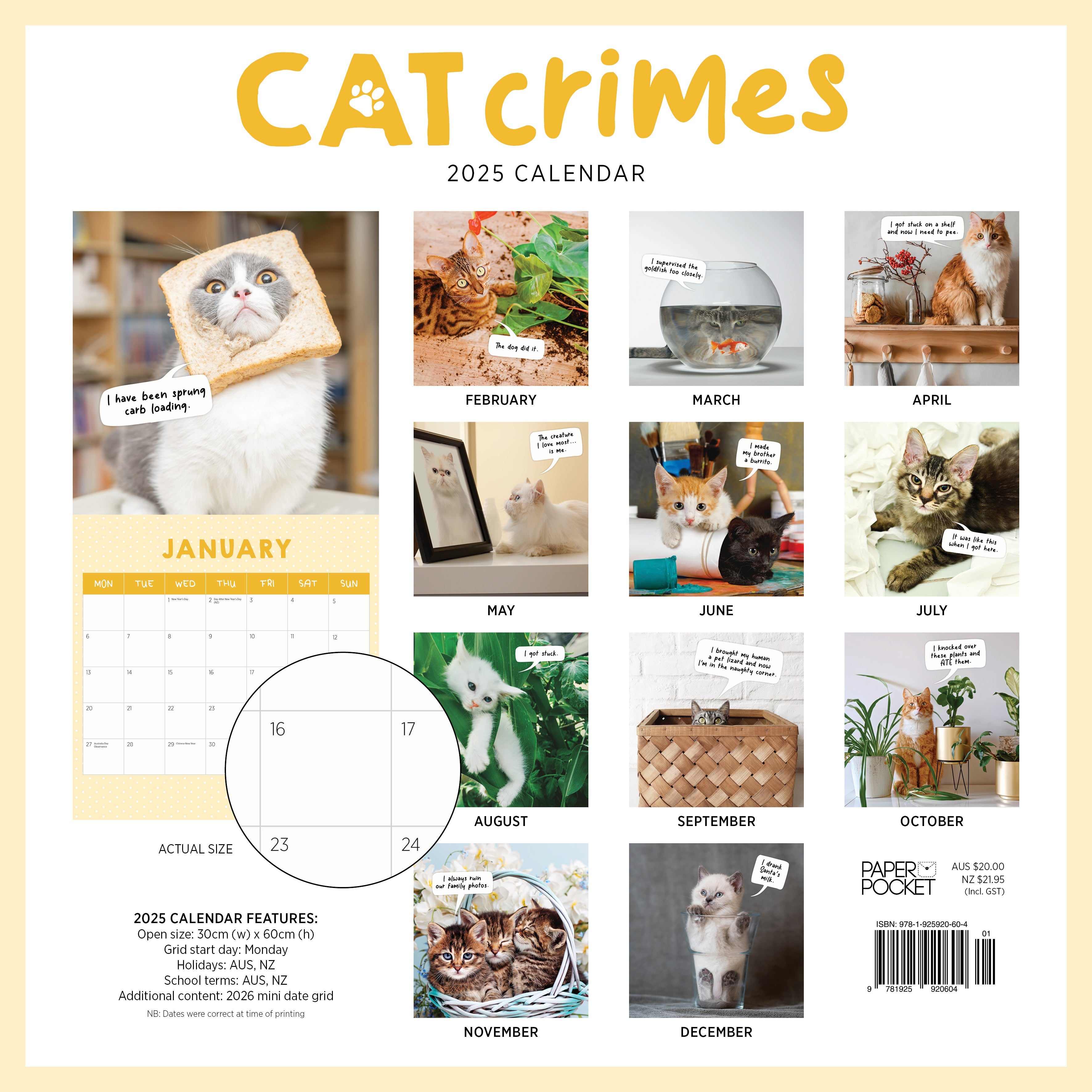 2025 Cat Crimes - Square Wall Calendar