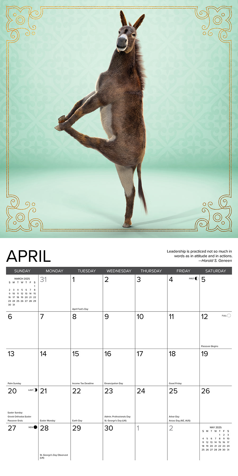 2025 Jackass Yoga - Square Wall Calendar