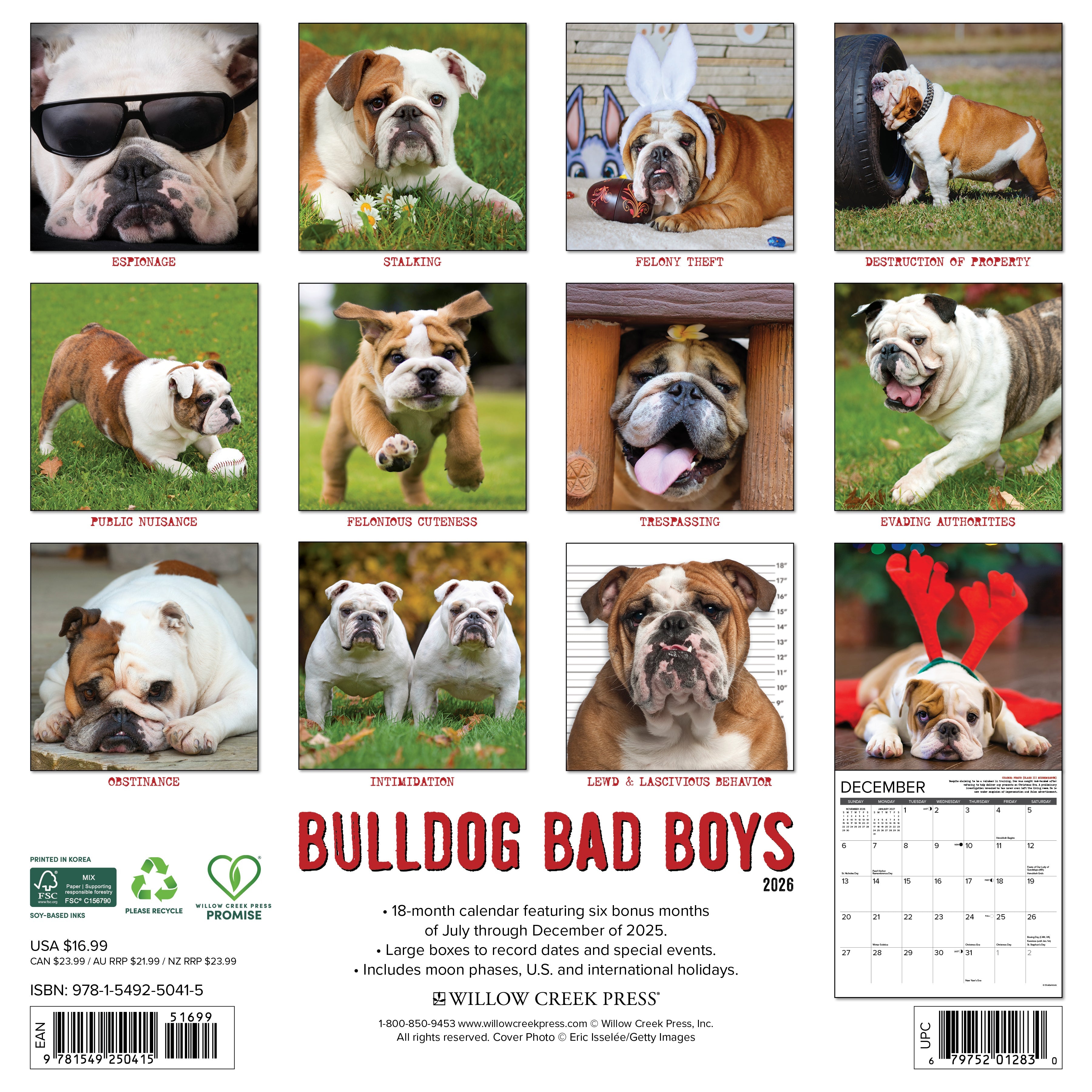 2026 Bulldog Bad Boys - Square Wall