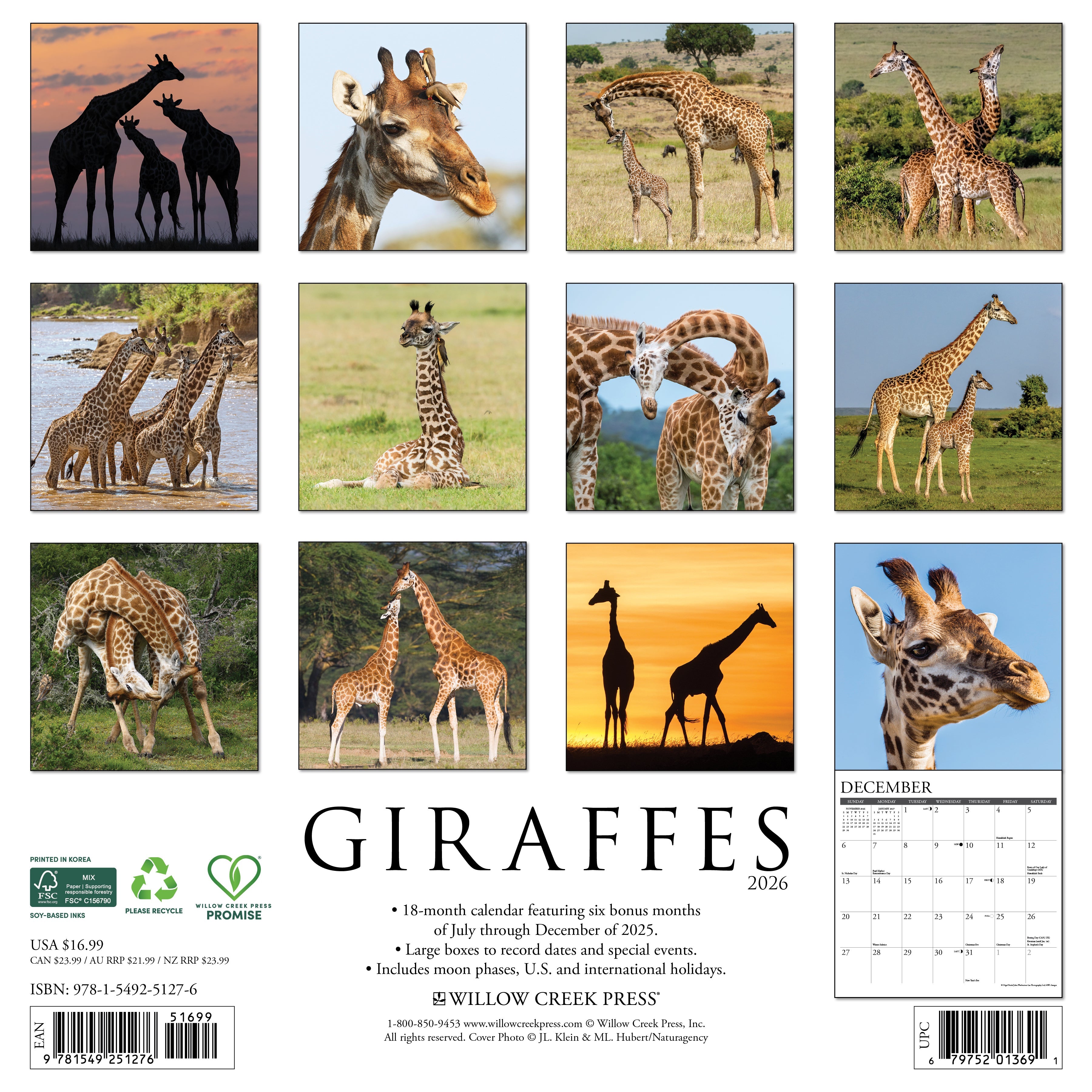 2026 Giraffes - Square Wall