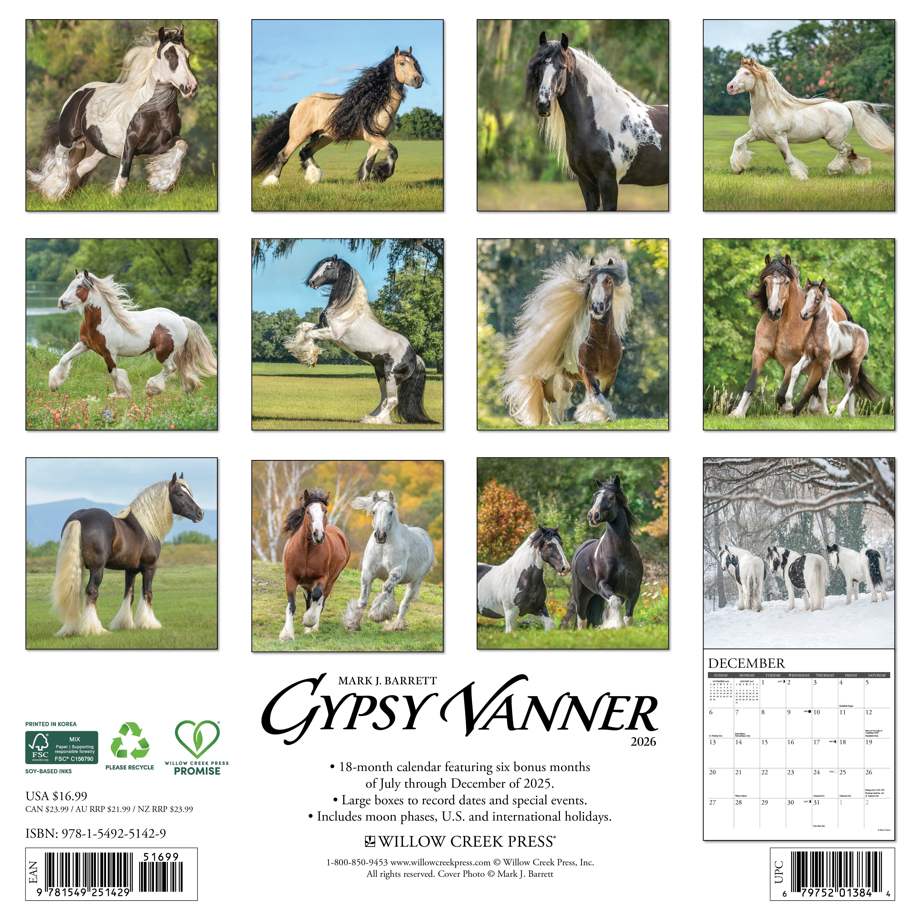 2026 Gypsy Vanner - Square Wall