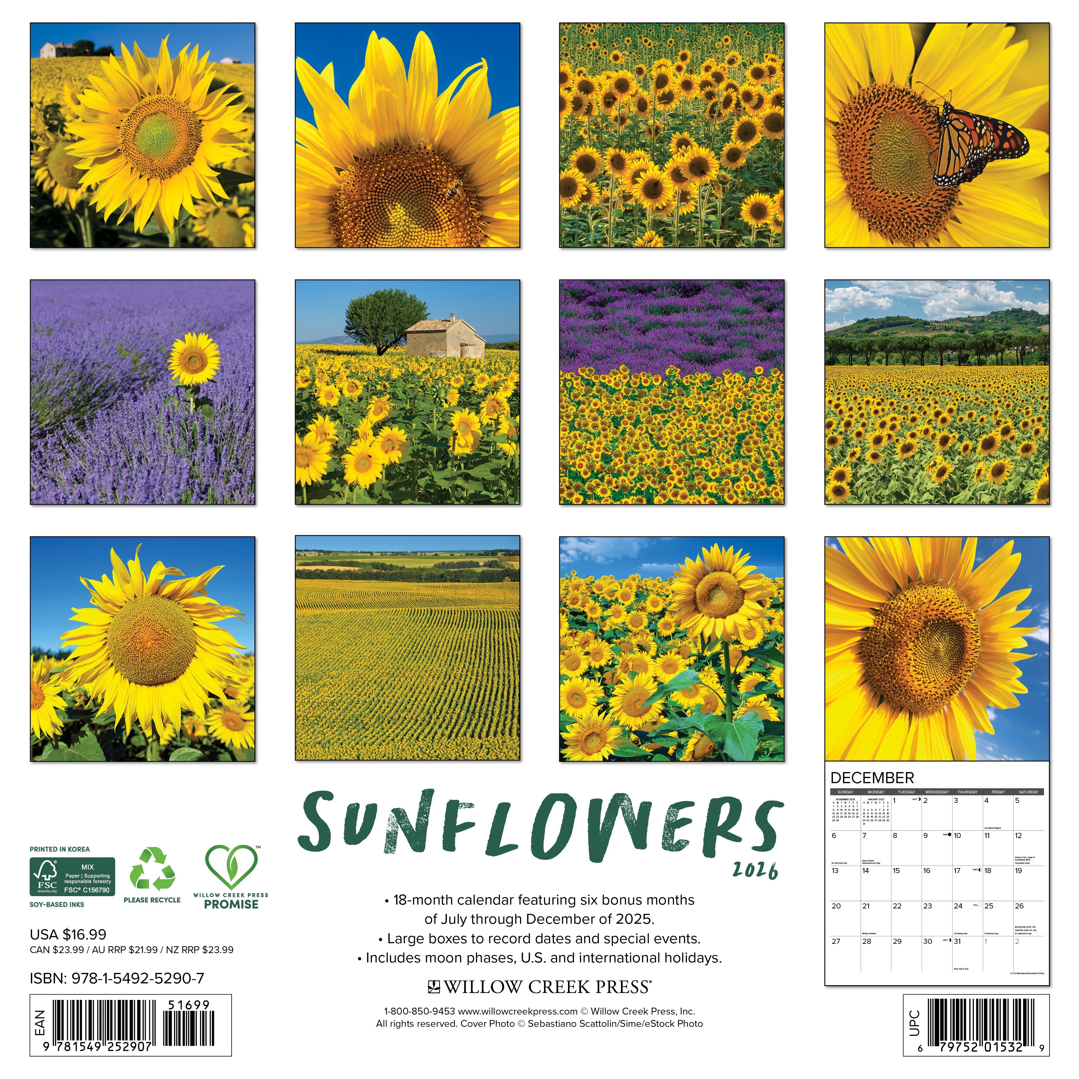 2026 Sunflowers - Square Wall