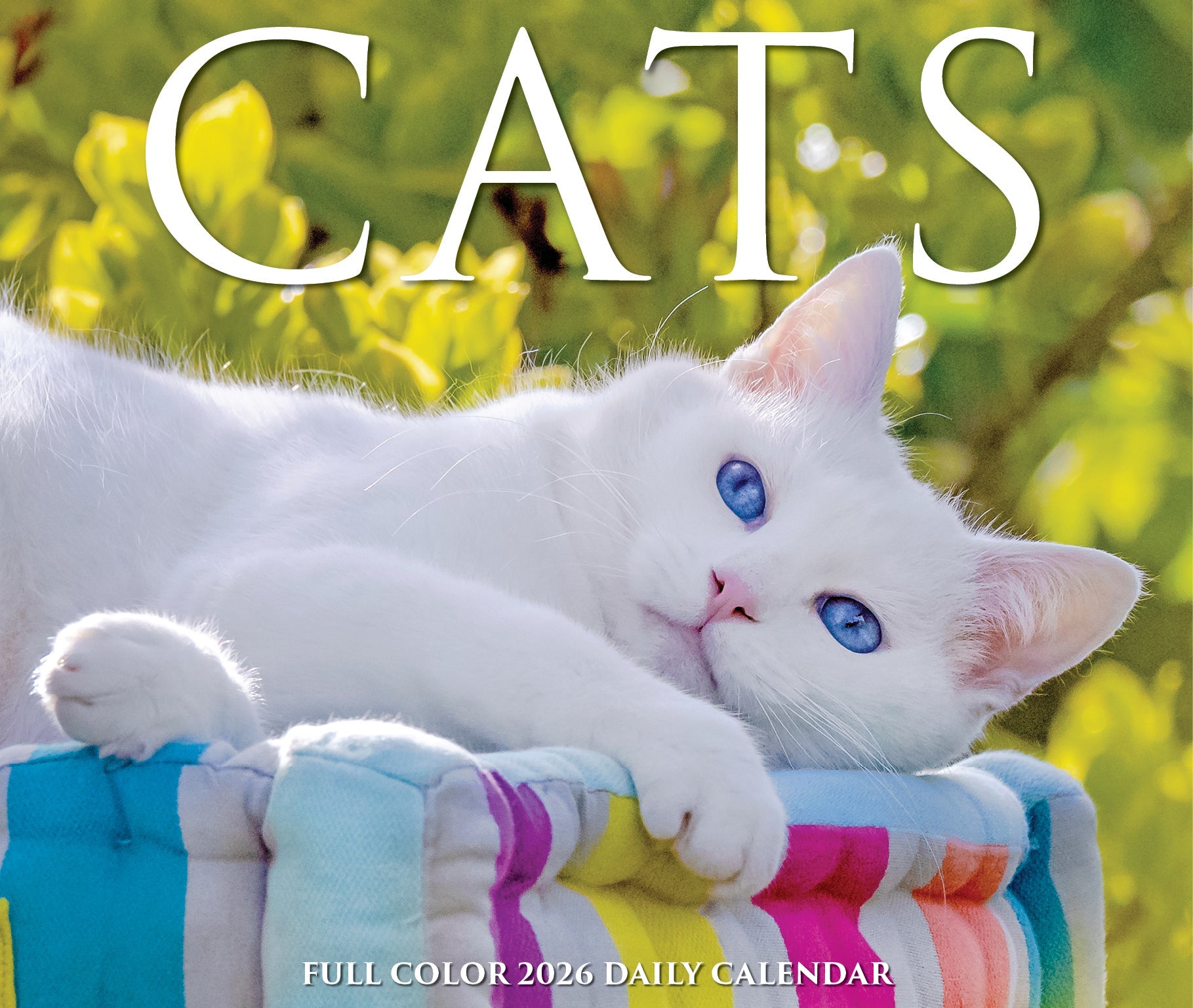 2026 Cats - Boxed Page-A-Day