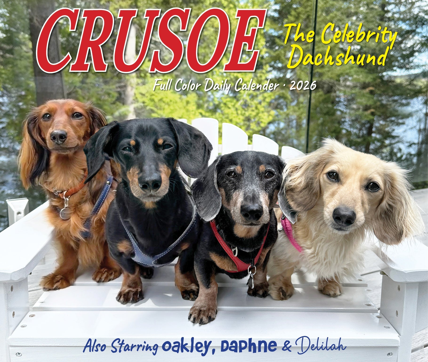 2026 Crusoe the Celebrity Dachshund - Boxed Page-A-Day