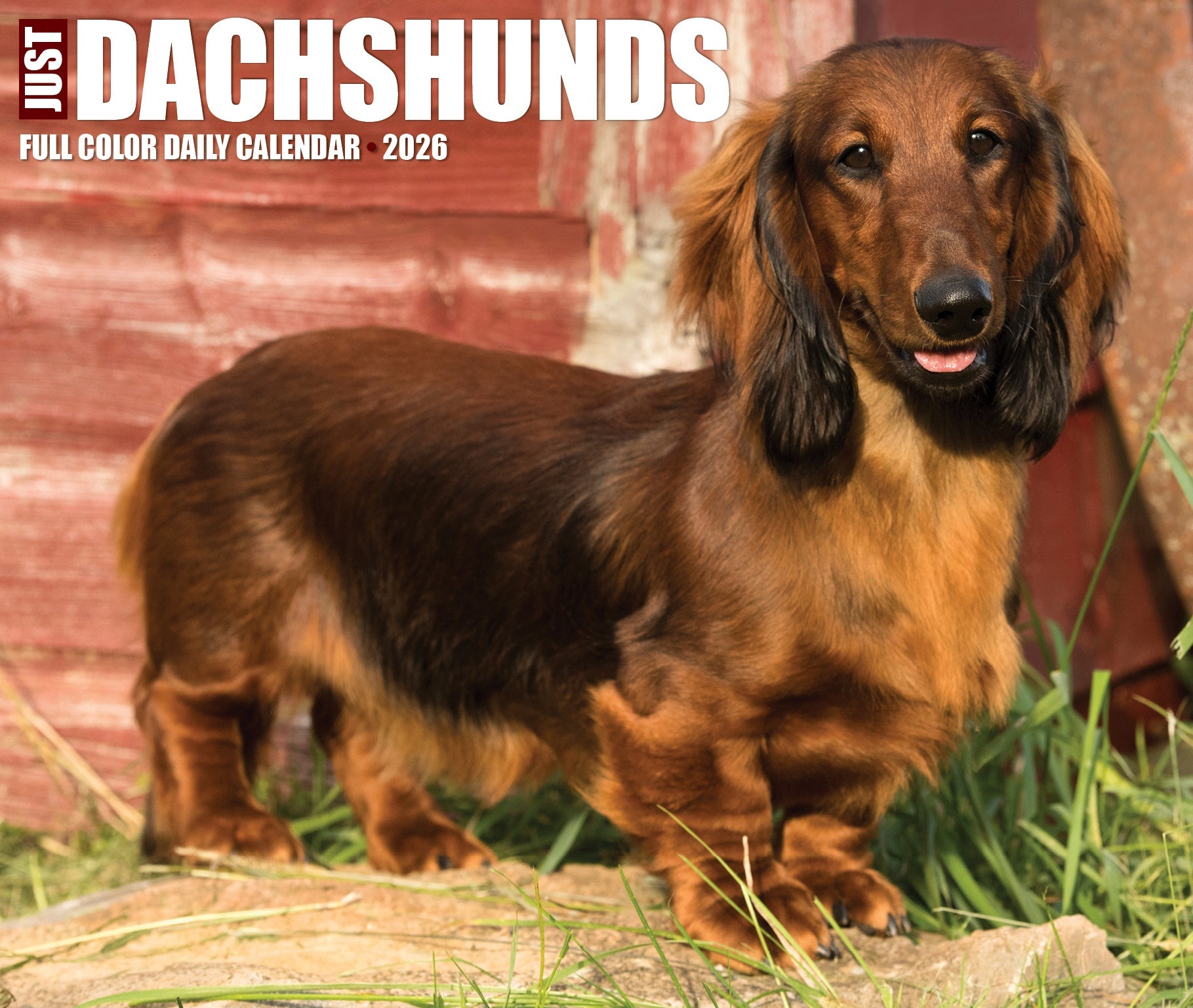 2026 Dachshunds - Boxed Page-A-Day