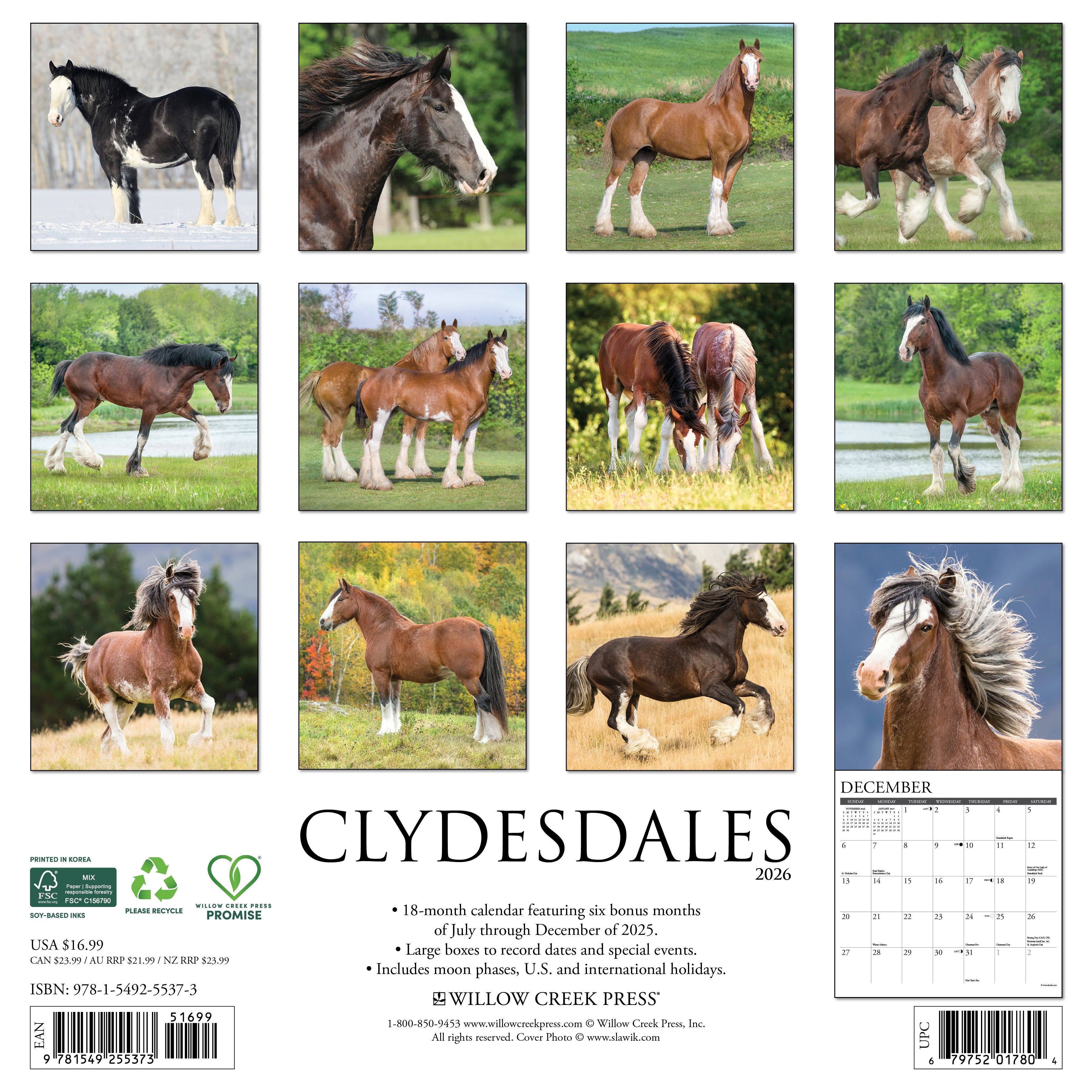 2026 Clydesdales - Square Wall