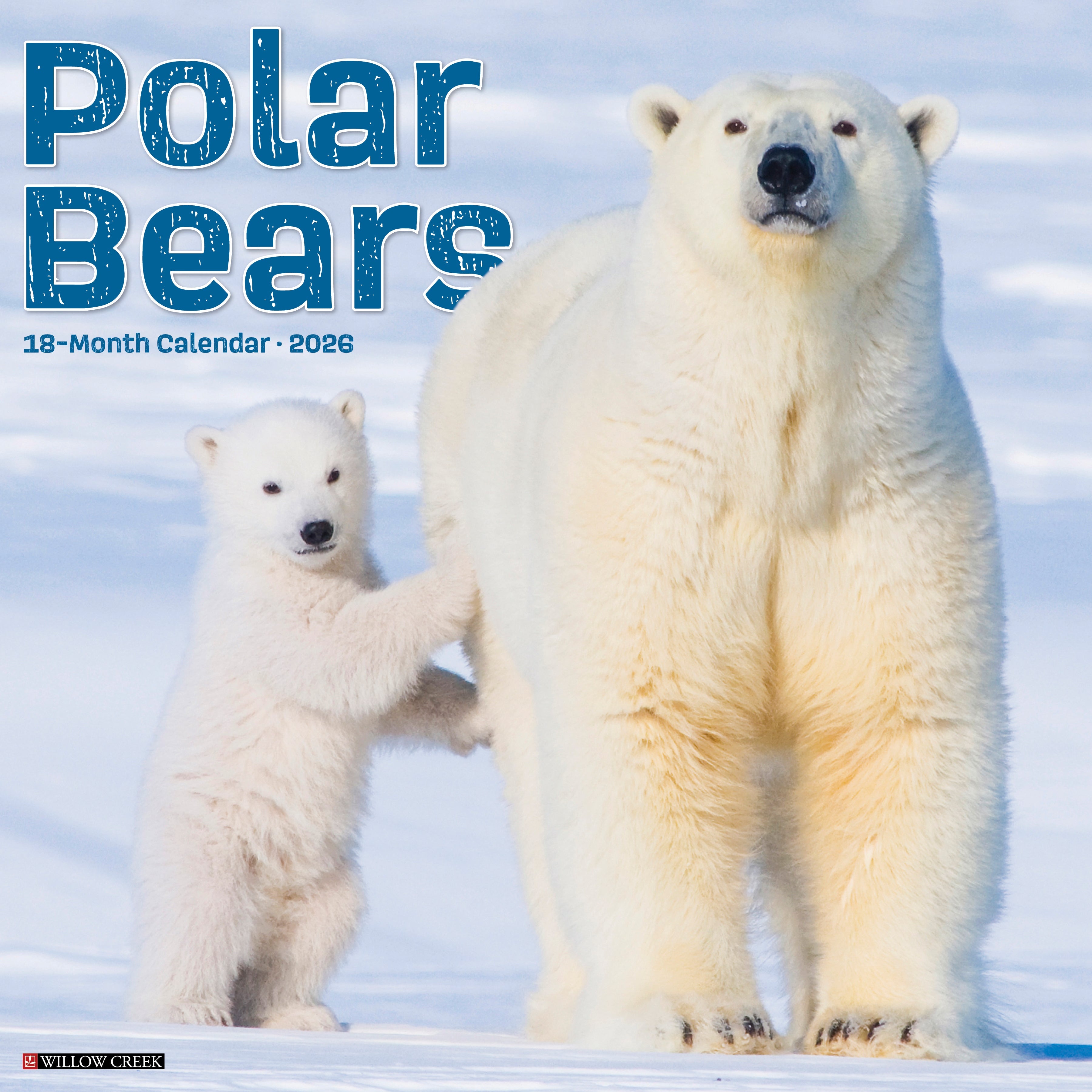 2026 Polar Bears - Square Wall