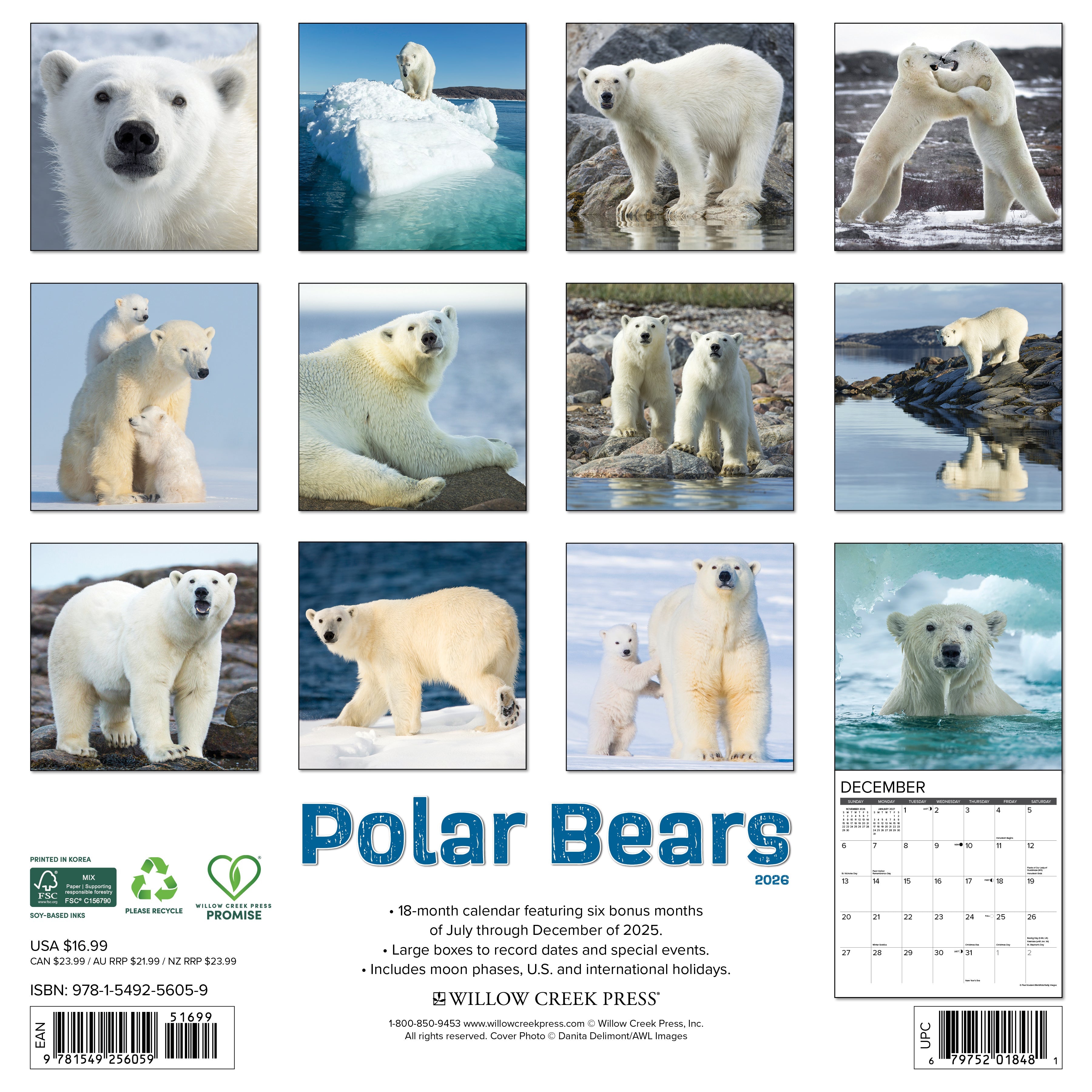 2026 Polar Bears - Square Wall