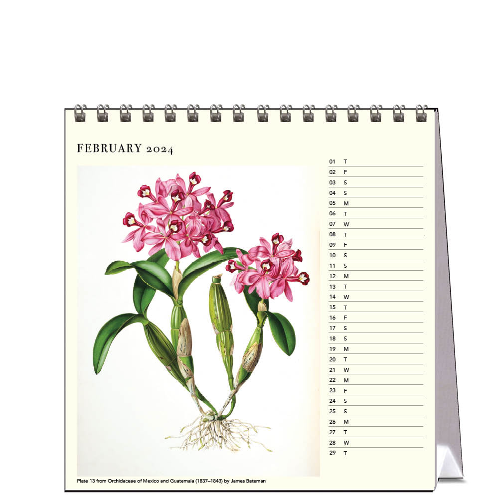 2024 Orchids - Desk Easel Calendar