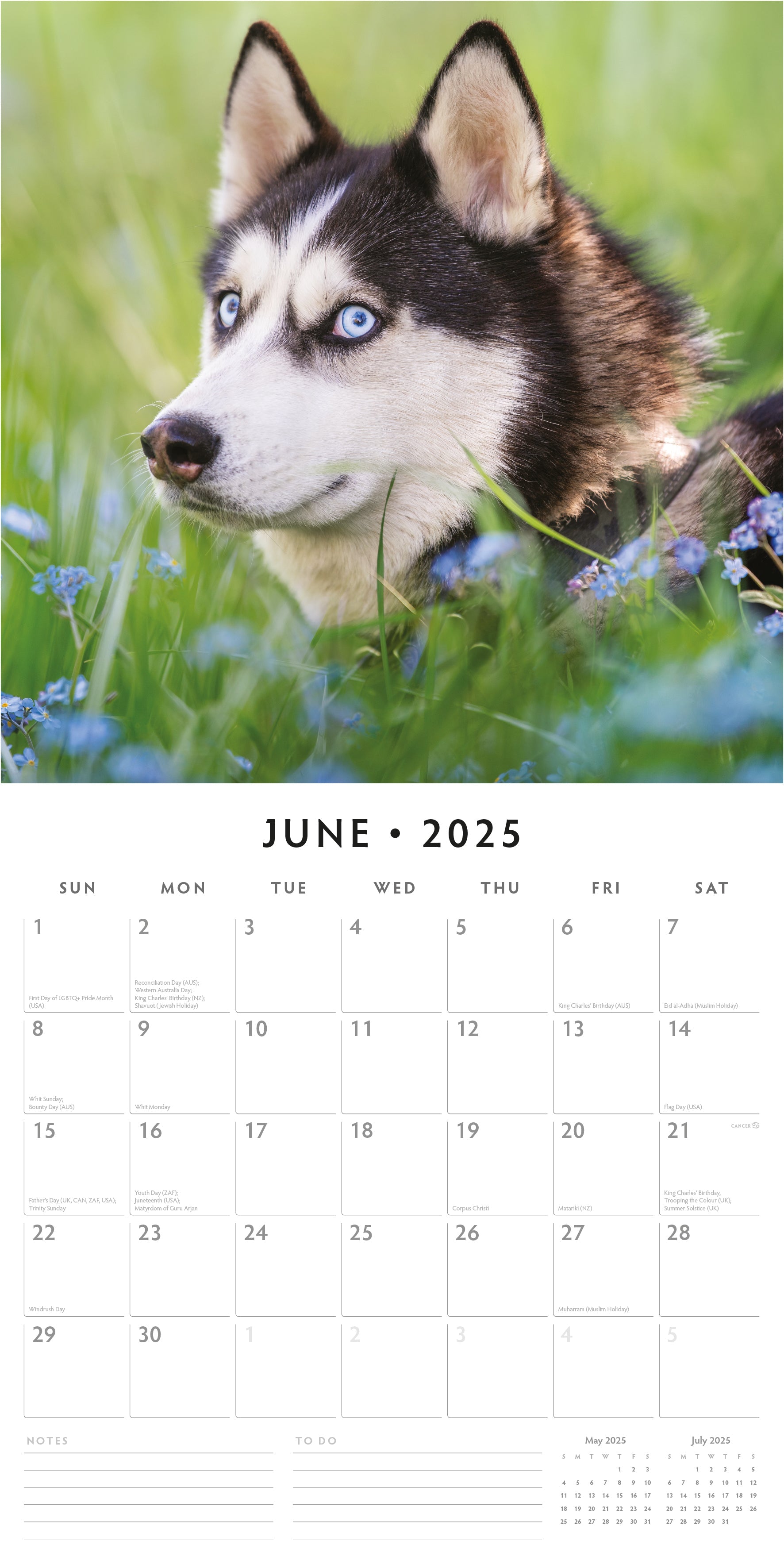 2025 Huskies - Square Wall Calendar