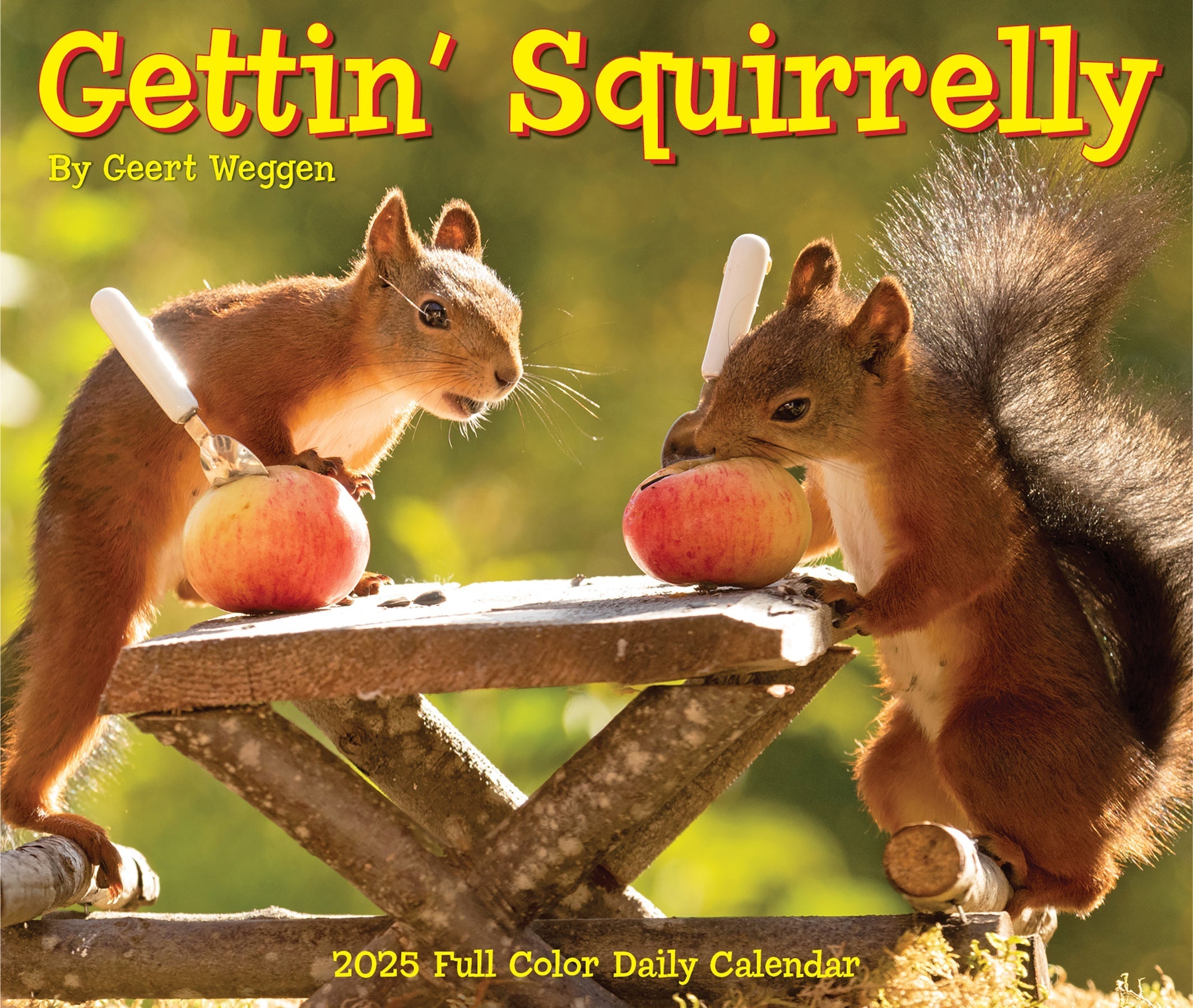 2025 Gettin' Squirrelly - Daily Boxed Page-A-Day Calendar