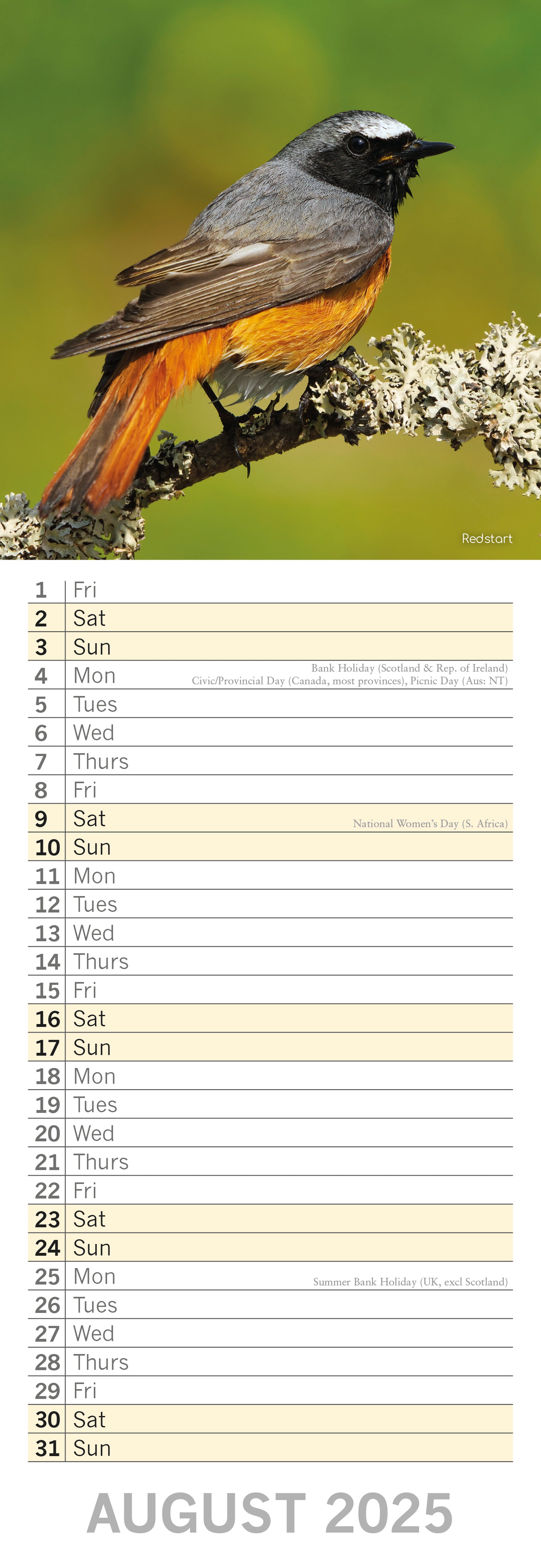 2025 Birds - Slim Wall Calendar