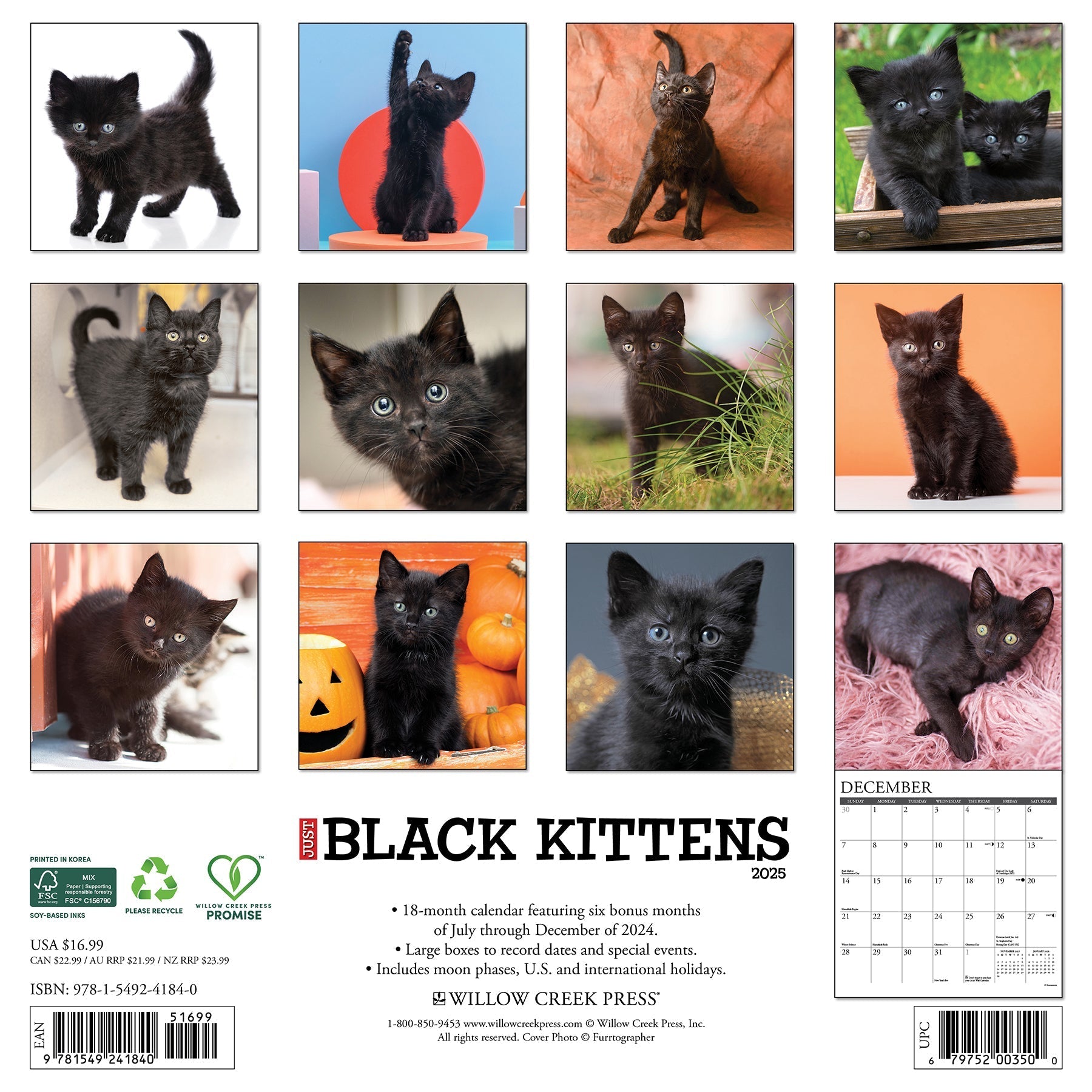 2025 Black Kittens - Square Wall Calendar