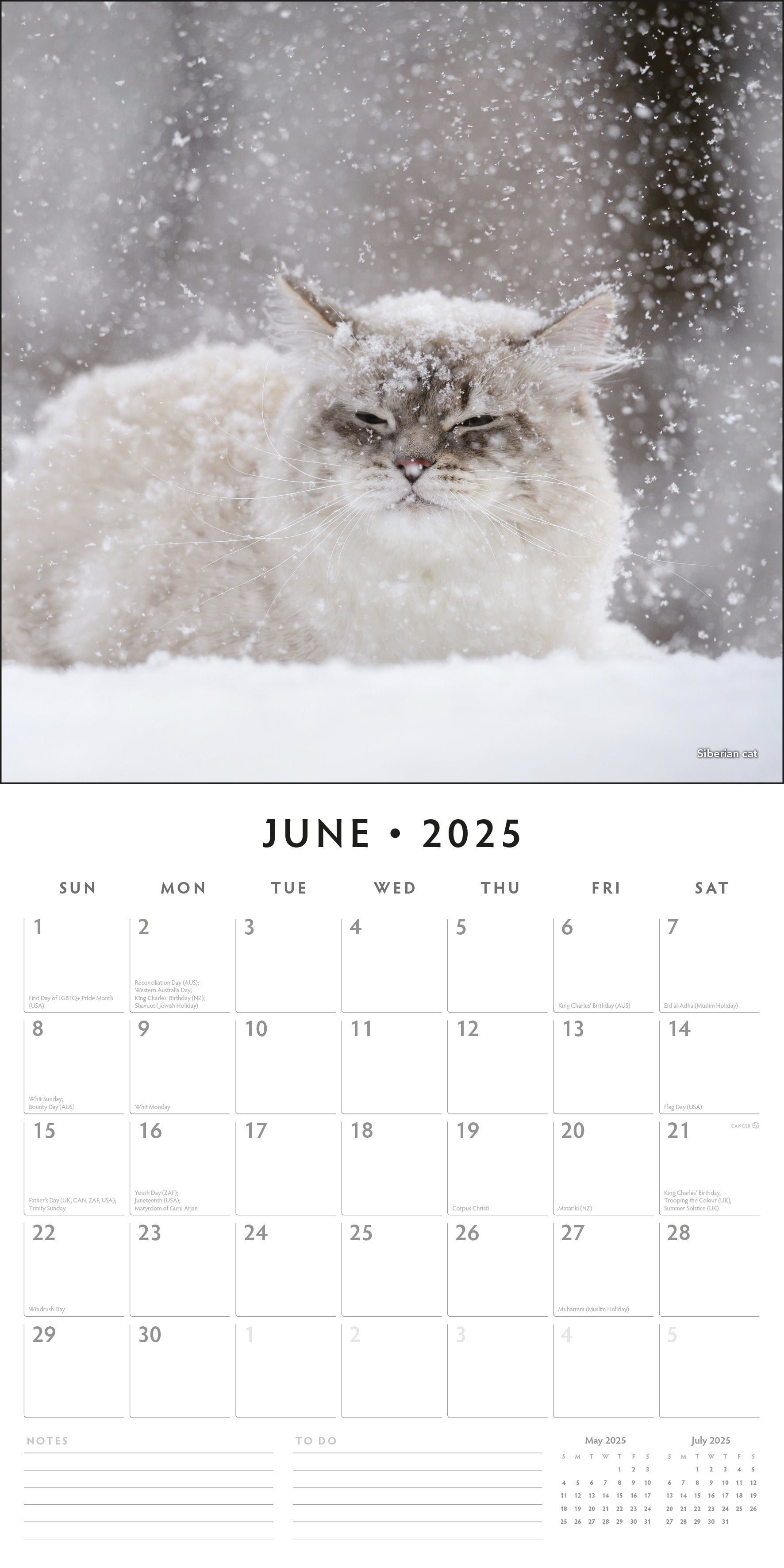 2025 Snow Animals - Square Wall Calendar
