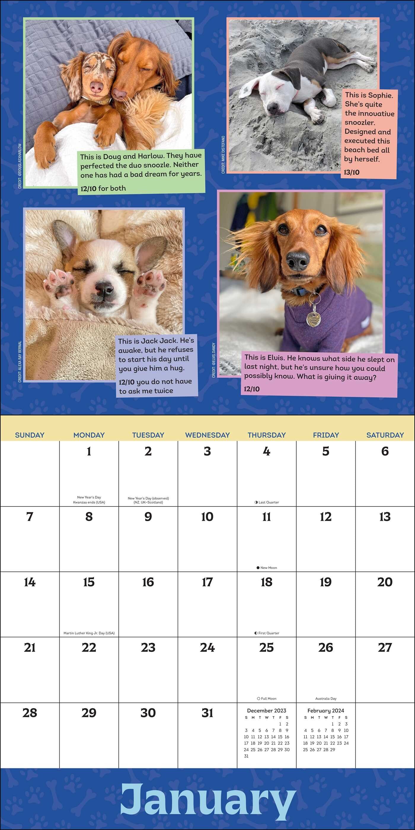 2024 We Rate Dogs - Square Wall Calendar  SOLD OUT