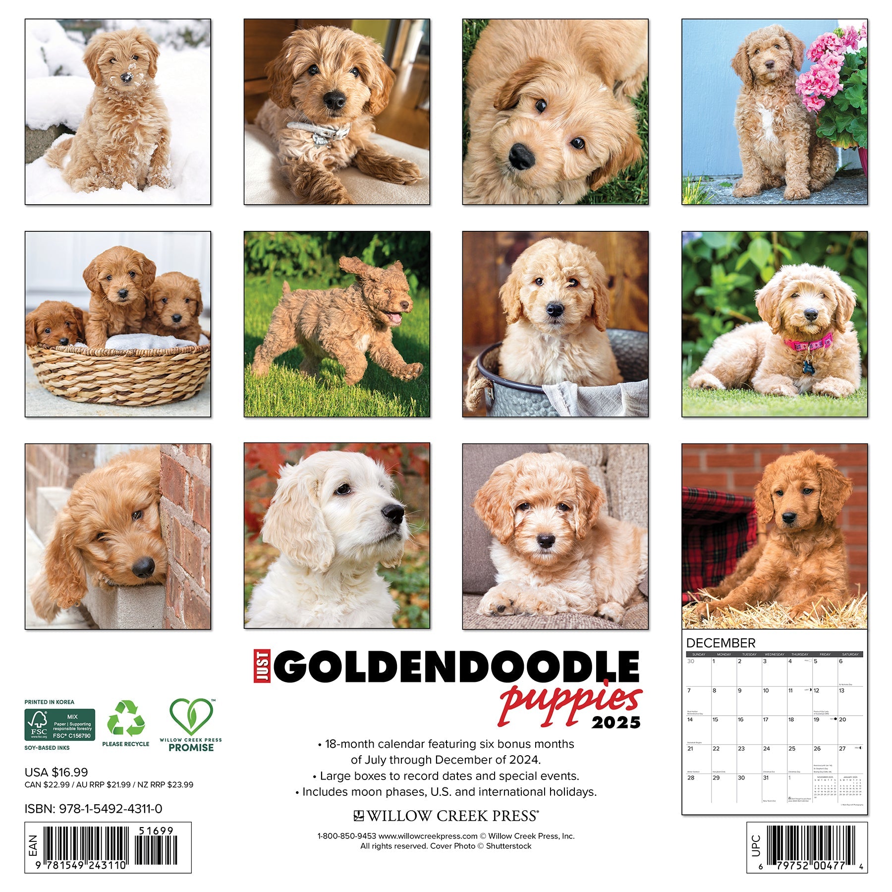 2025 Goldendoodle Puppies - Square Wall Calendar