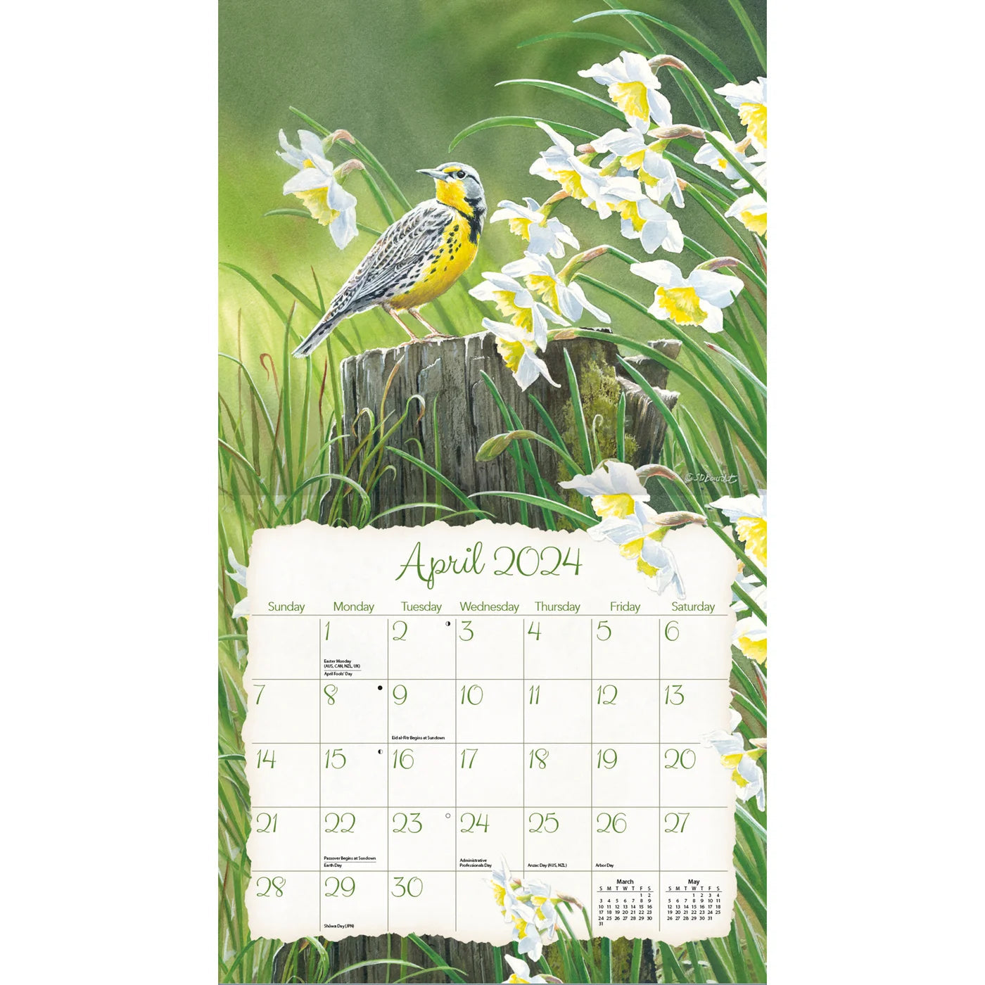 2024 LANG Songbirds By Susan Bourdet Deluxe Wall Calendar Art