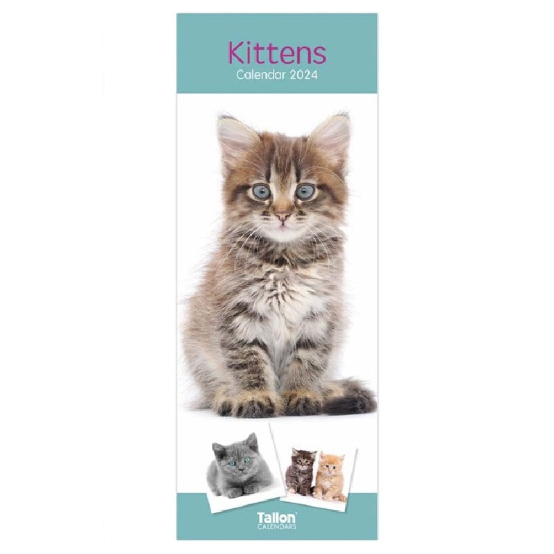 2024 Kittens Super - Slim Wall Calendar  SOLD OUT