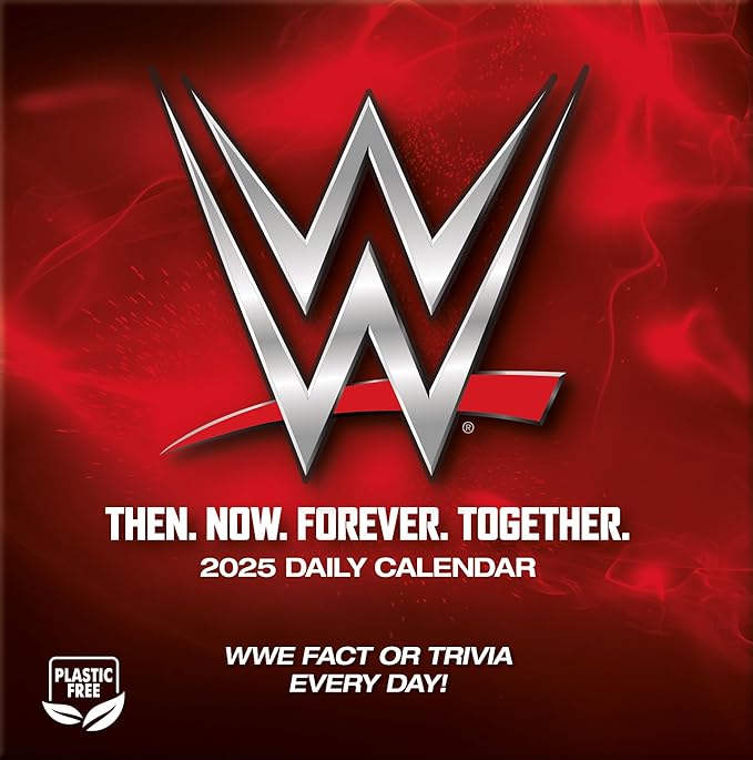 2025 WWE - Boxed Page-A-Day Calendar