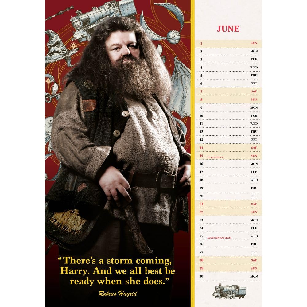 2025 Harry Potter Change It Up - A3 Wall Calendar